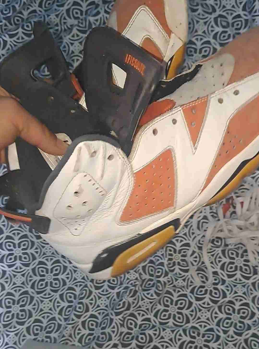 Jordan 6 gatorade