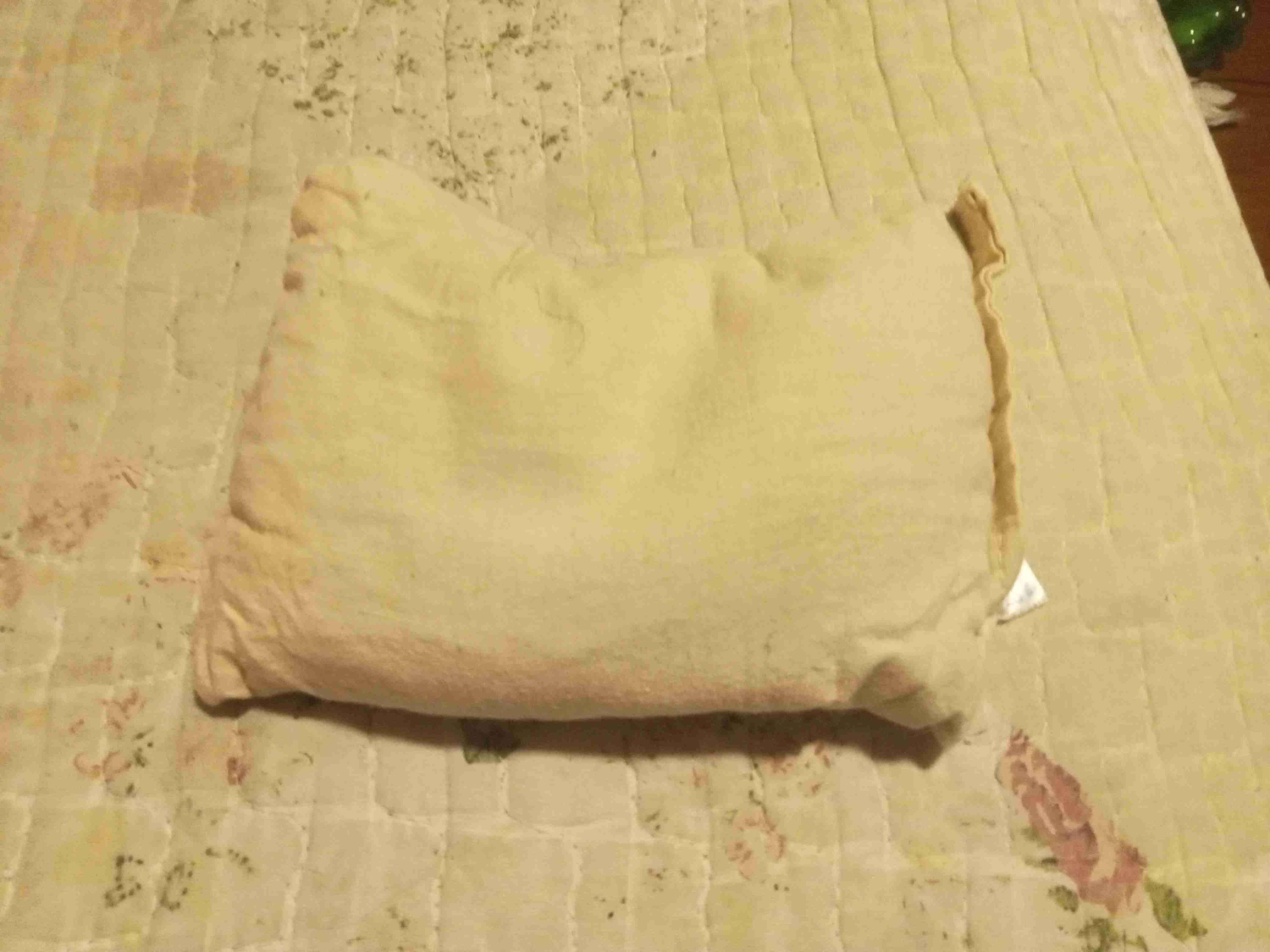 Guatero de semillas con forma de cebra - miniatura 2