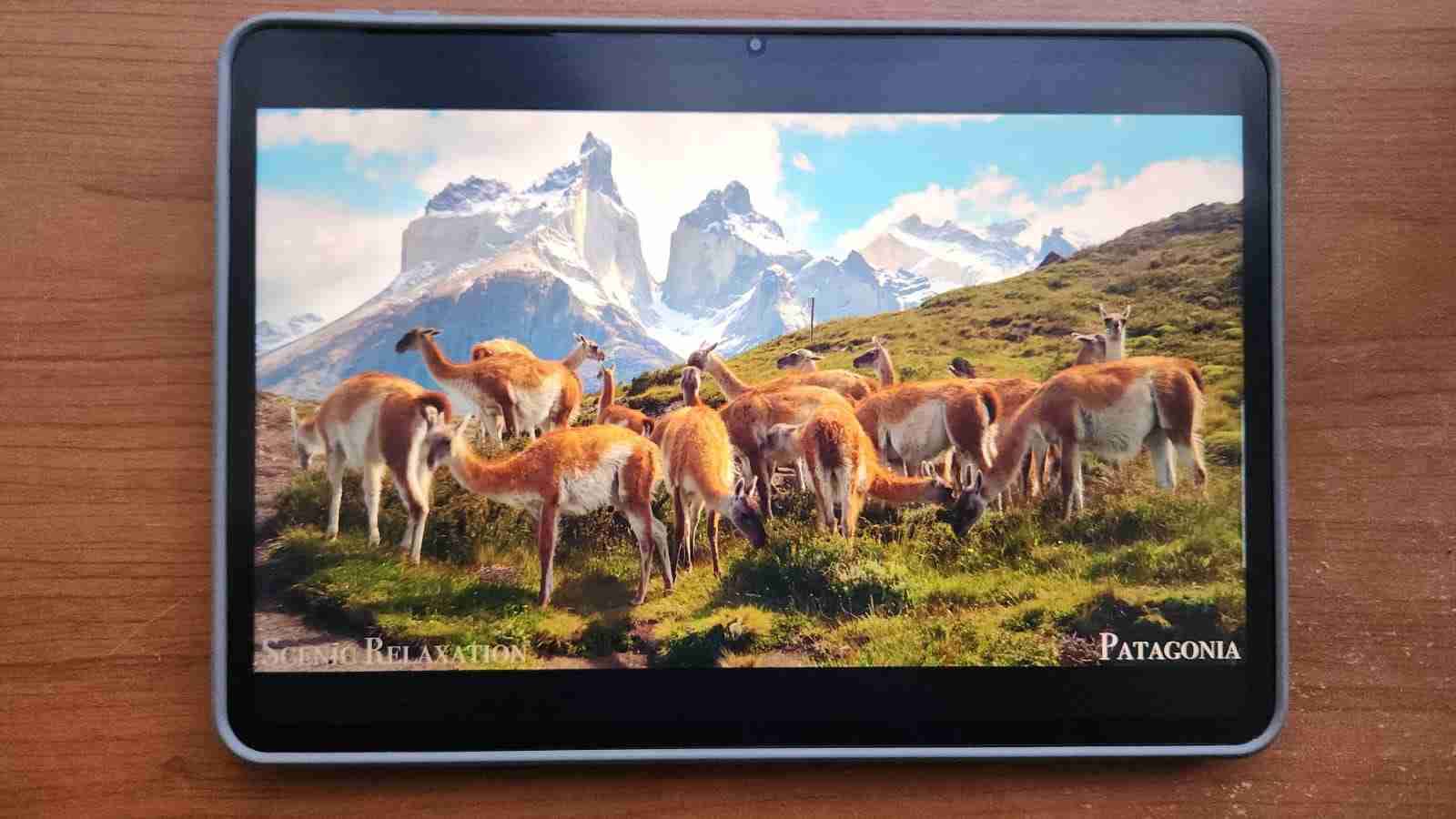 Xiaomi Pad 7 con teclado y lápiz - miniatura 5