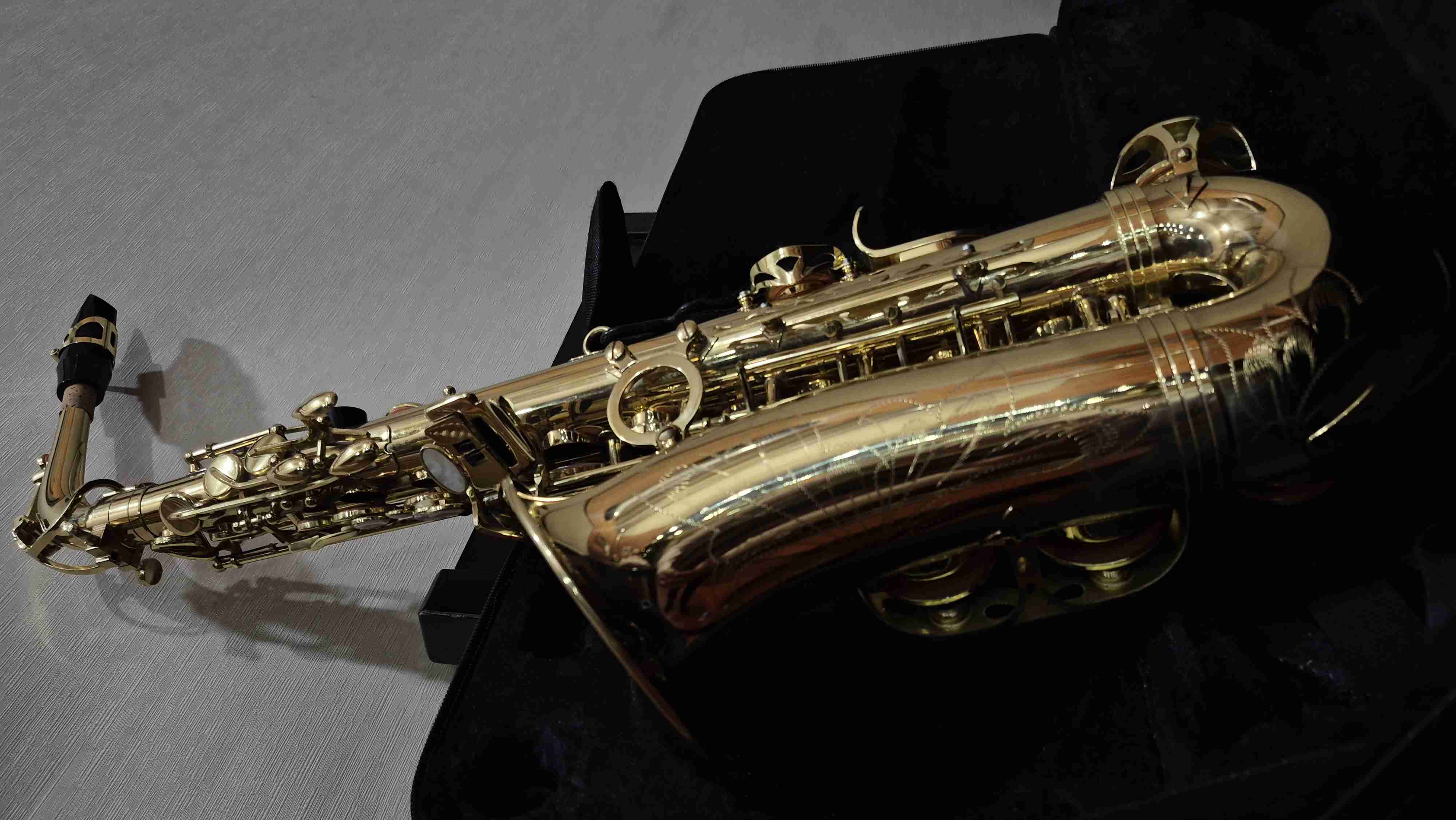 Saxofón alto dorado con estuche - miniatura 1