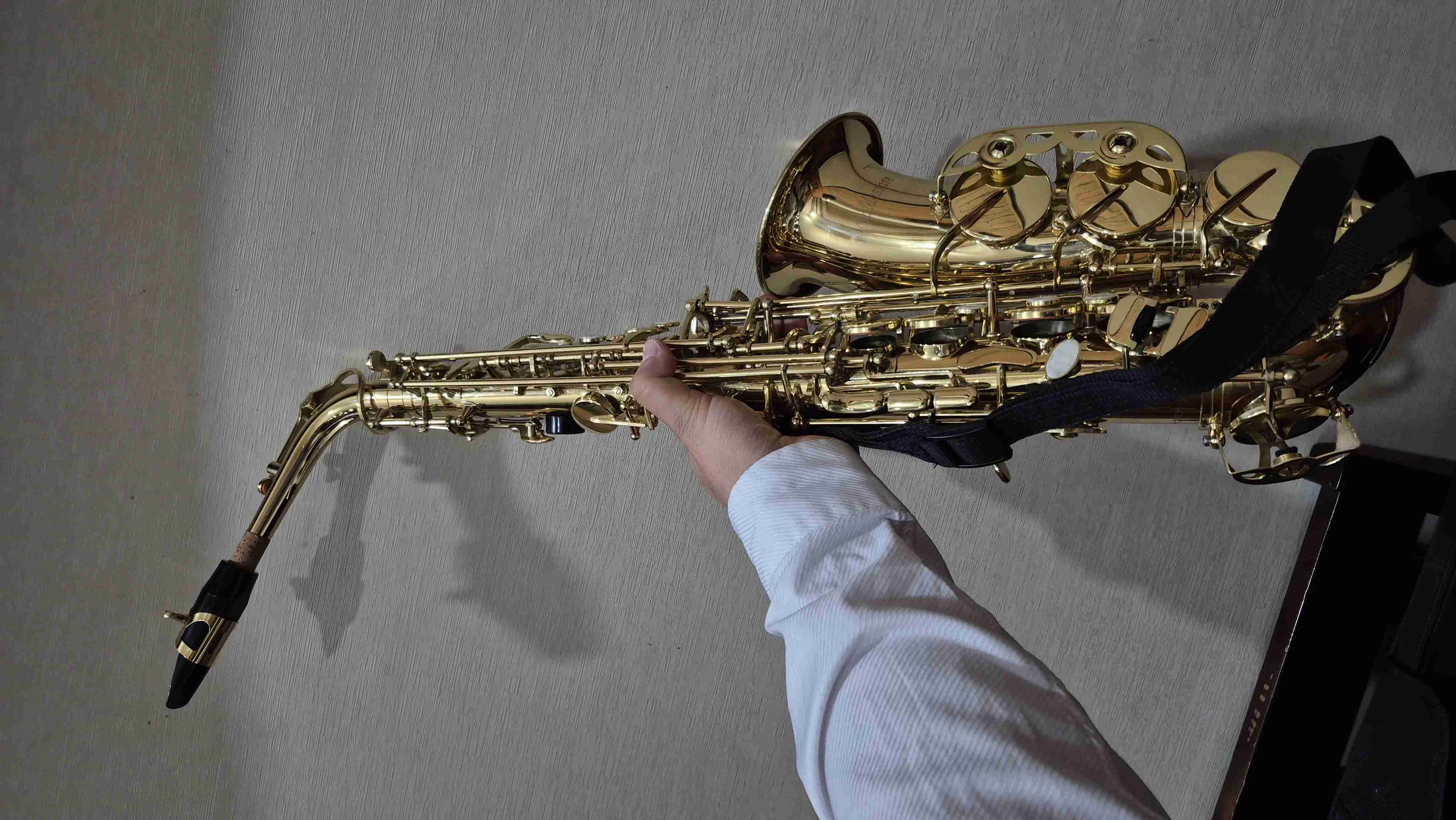 Saxofón alto dorado con estuche - miniatura 2