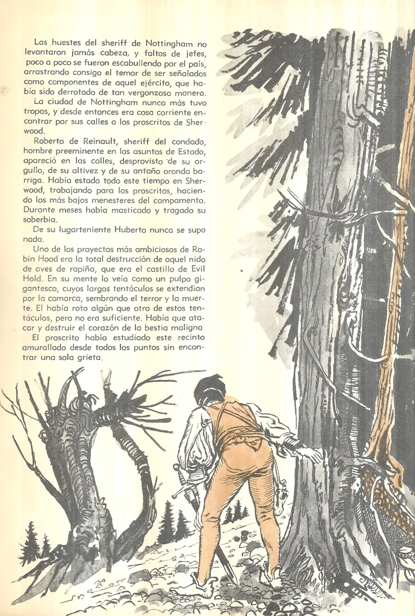 Libro Robin Hood / Editorial Molino / 1964 - miniatura 2