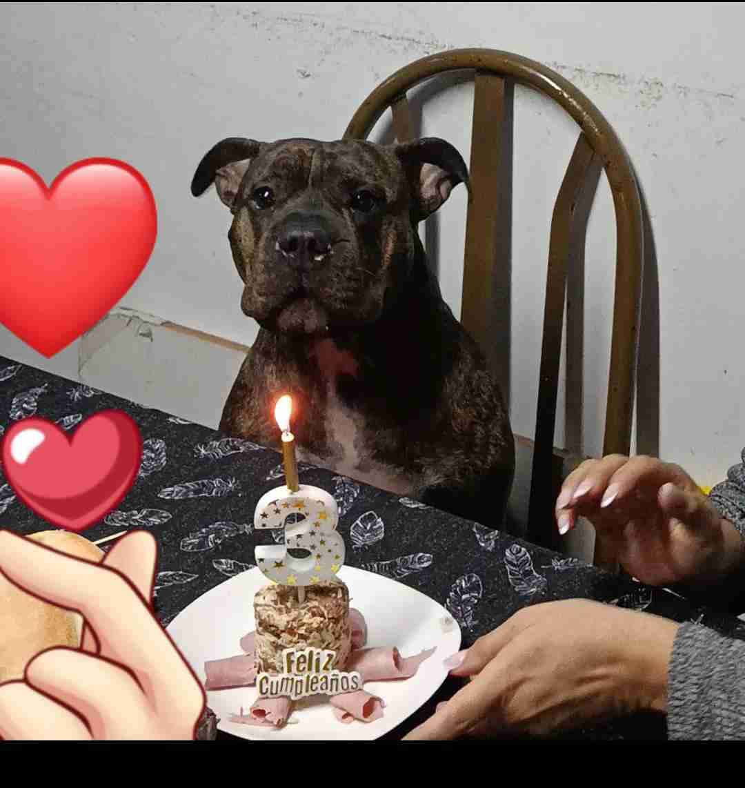 Carrito portatil plegable rosa - miniatura 2