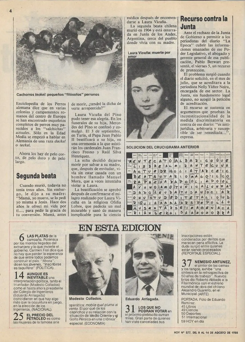 Revista Hoy 577 / 14 Agosto 1988 Carmen Frei Chile - miniatura 2