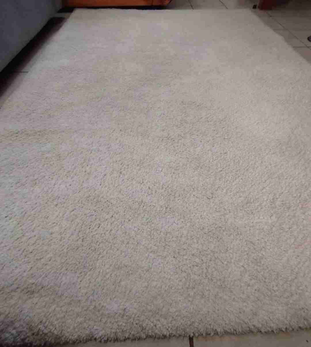 Alfombra beige grande - miniatura 1