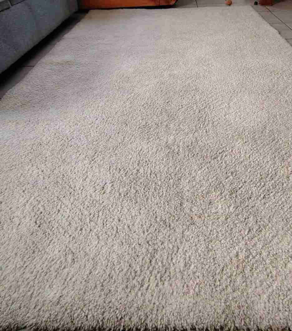 Alfombra beige grande - miniatura 2