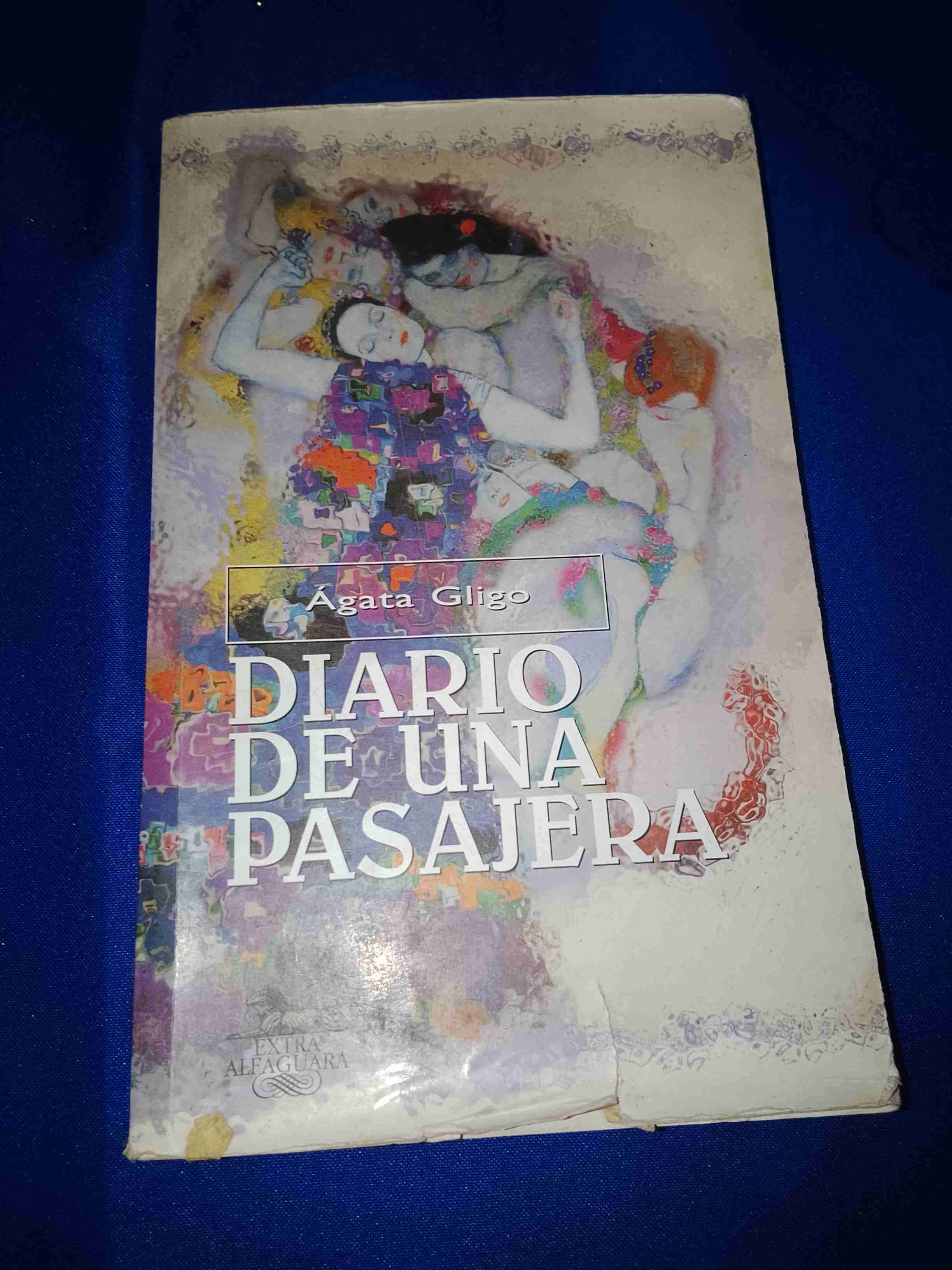 Libro 'Diario de una pasajera' - miniatura 2
