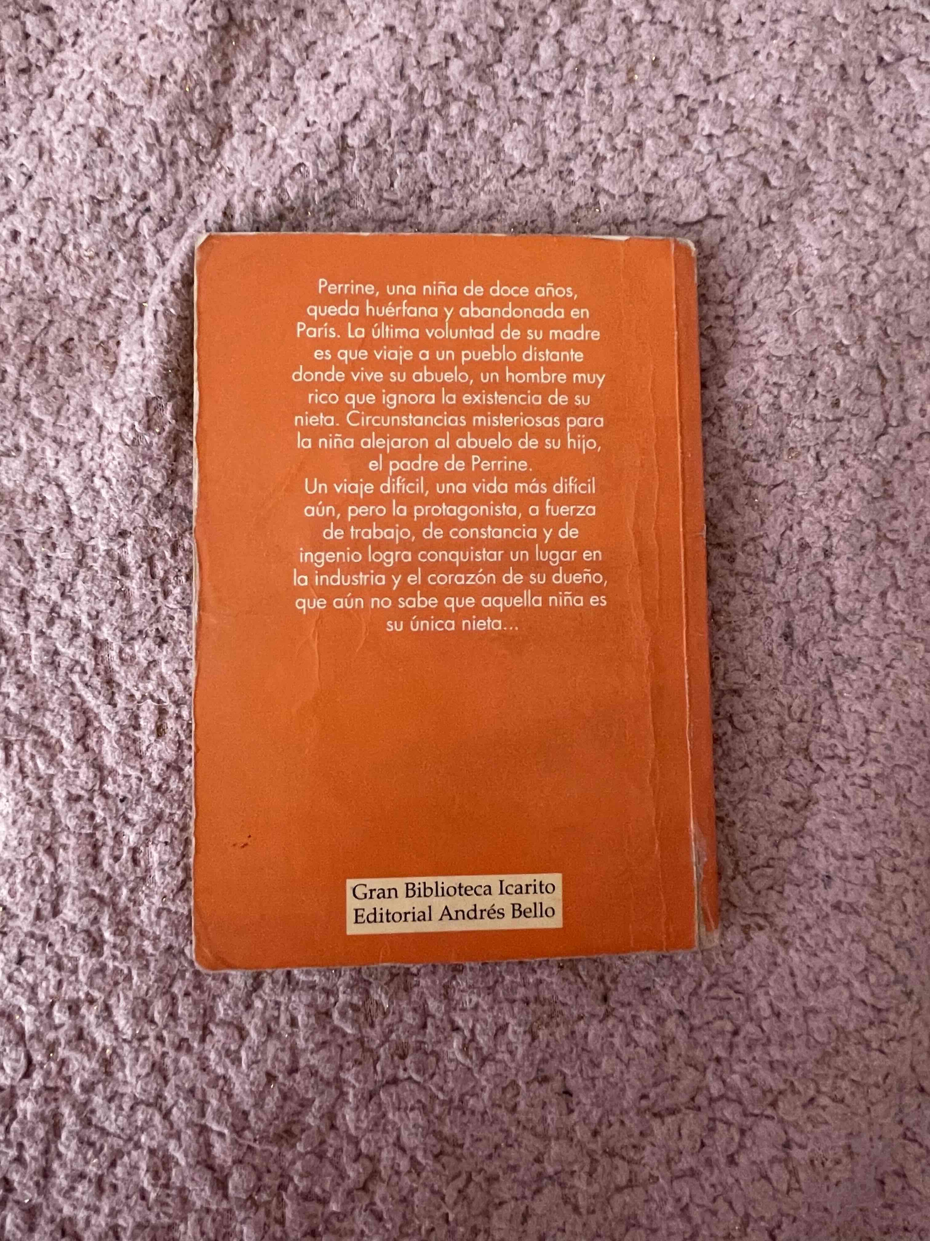 Libro 'En Familia' Héctor Malot - miniatura 2