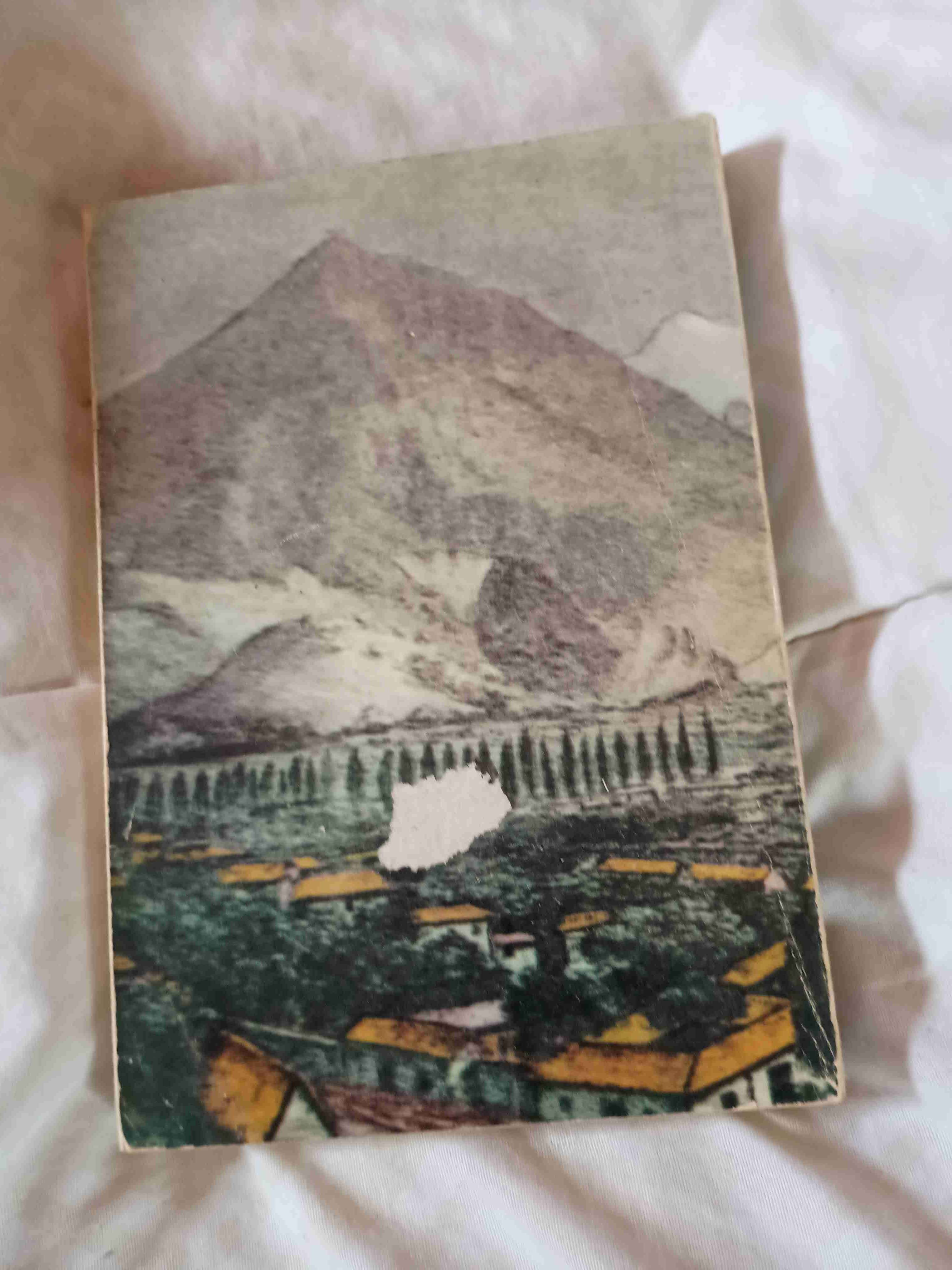 Libro Ñuñoahue René León Echaiz - miniatura 2