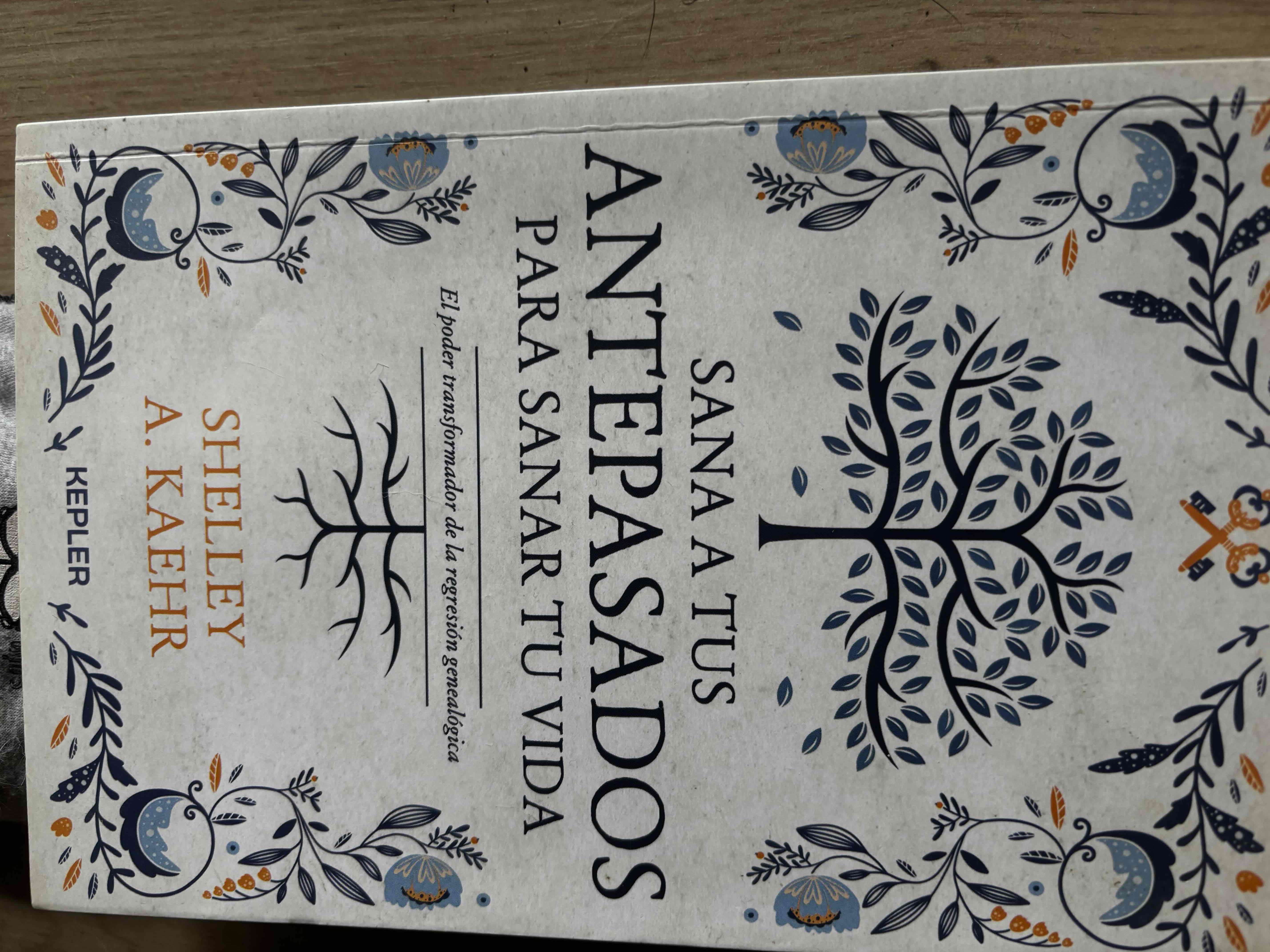 Libro Sana a tus Antepasados