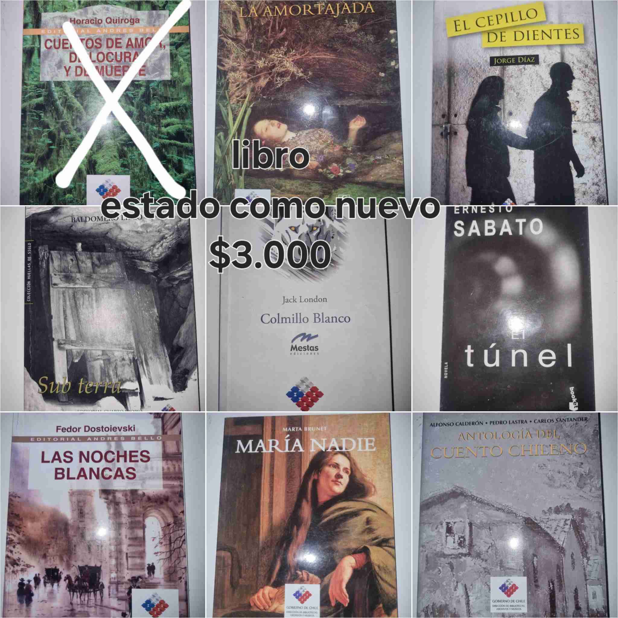 Libros lectura complementaria - miniatura 4