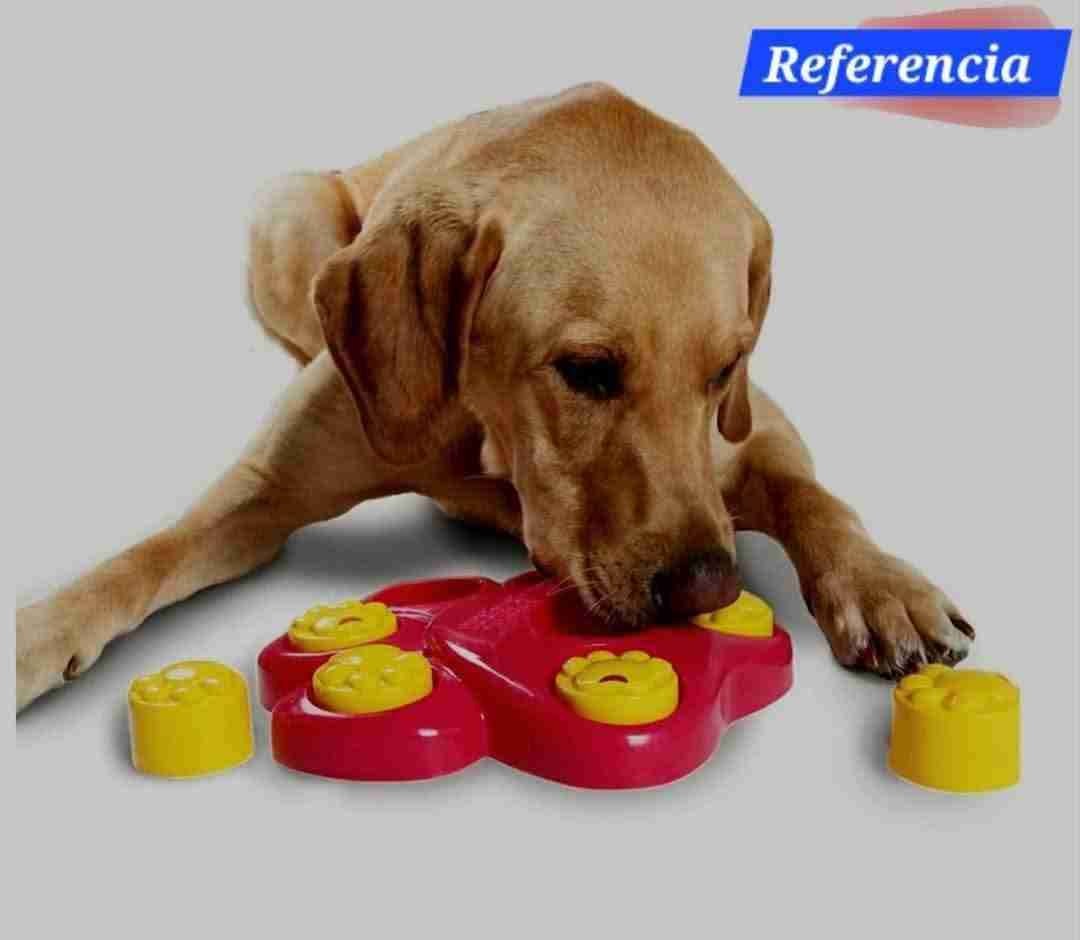 Juguete para perros - miniatura 2