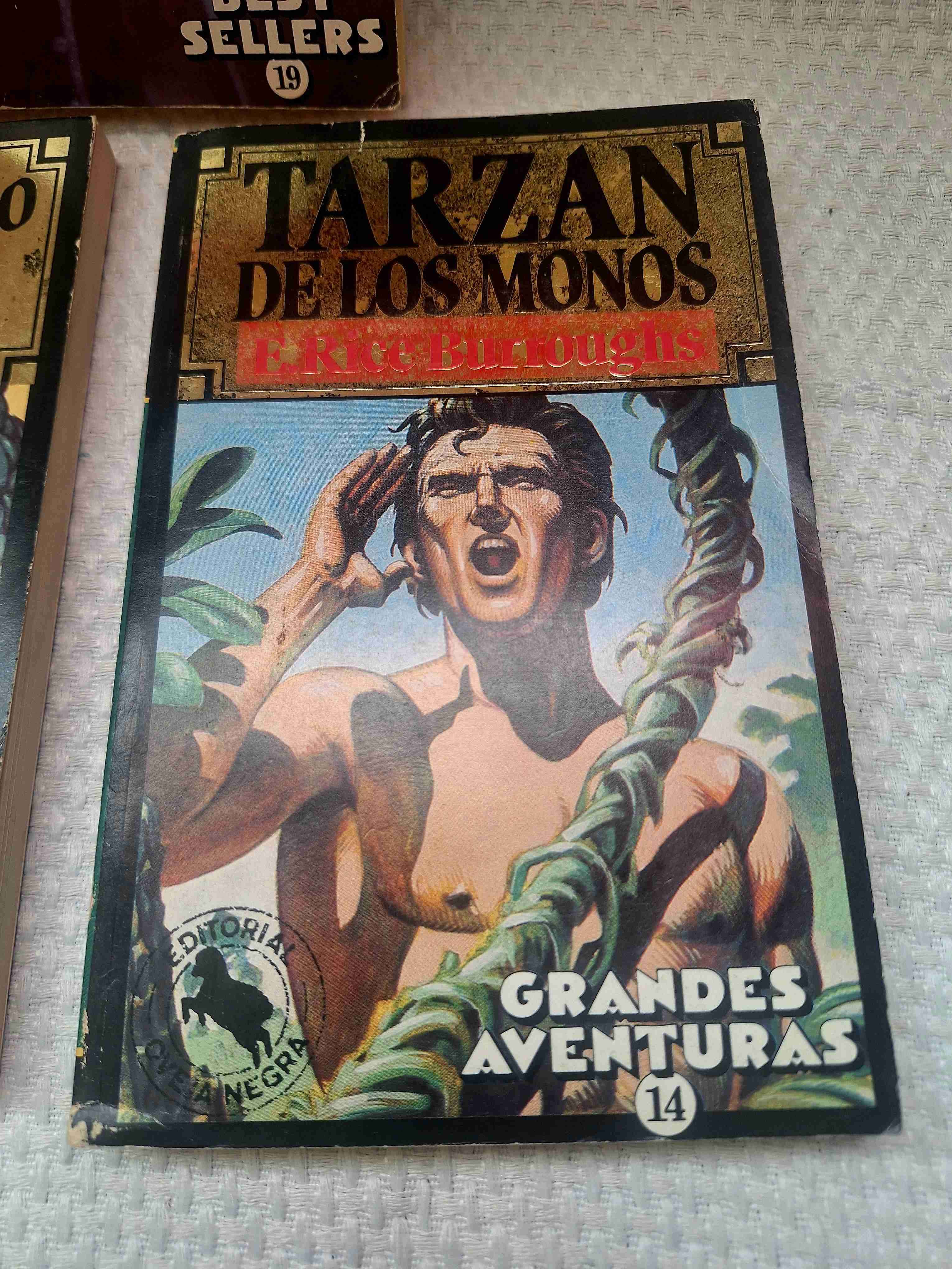 Pack 3 Libros Clásicos Drácula Tarzán Julio Verne - miniatura 4