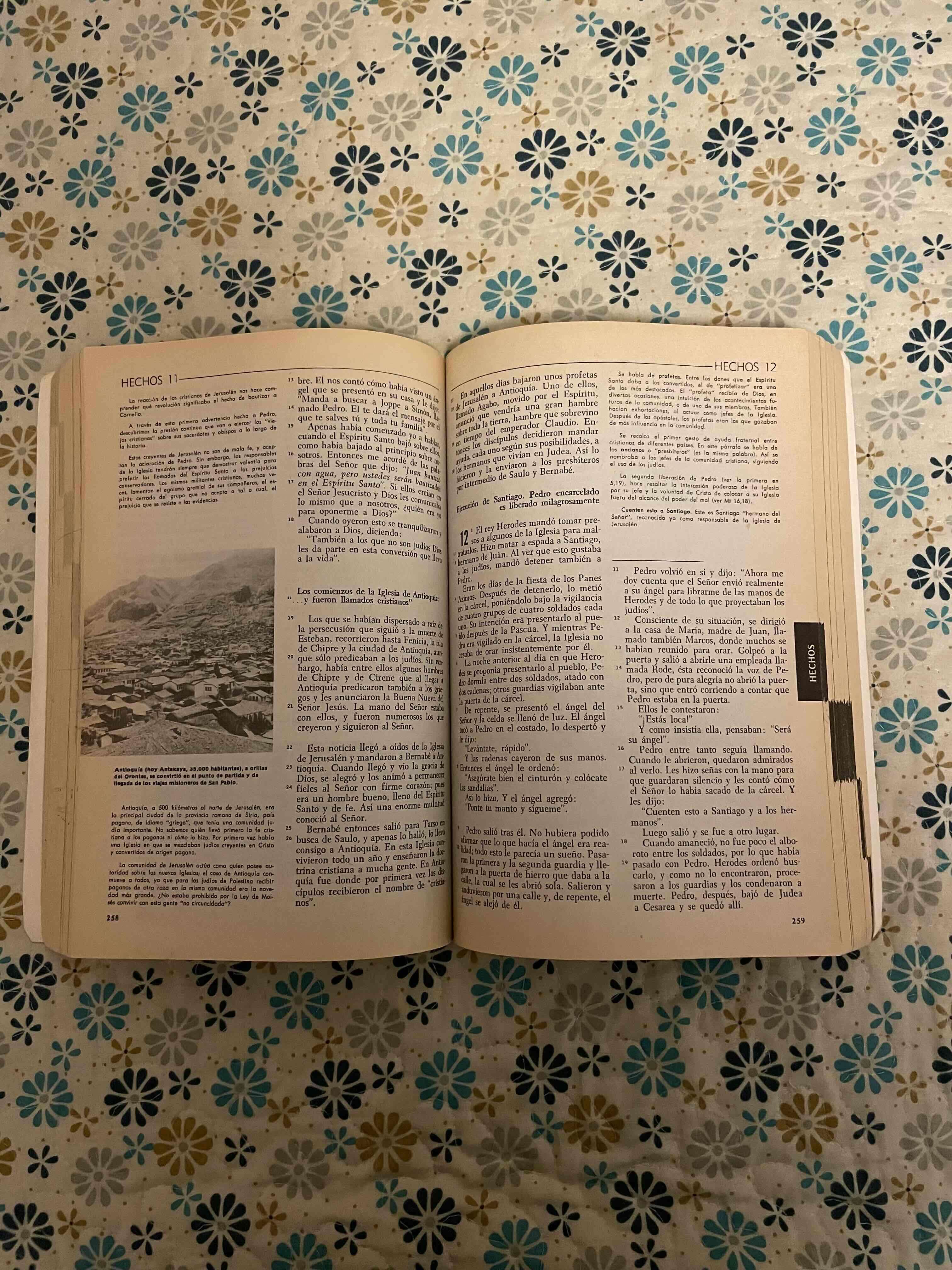 Nuevo Testamento Edición Pastoral - miniatura 3