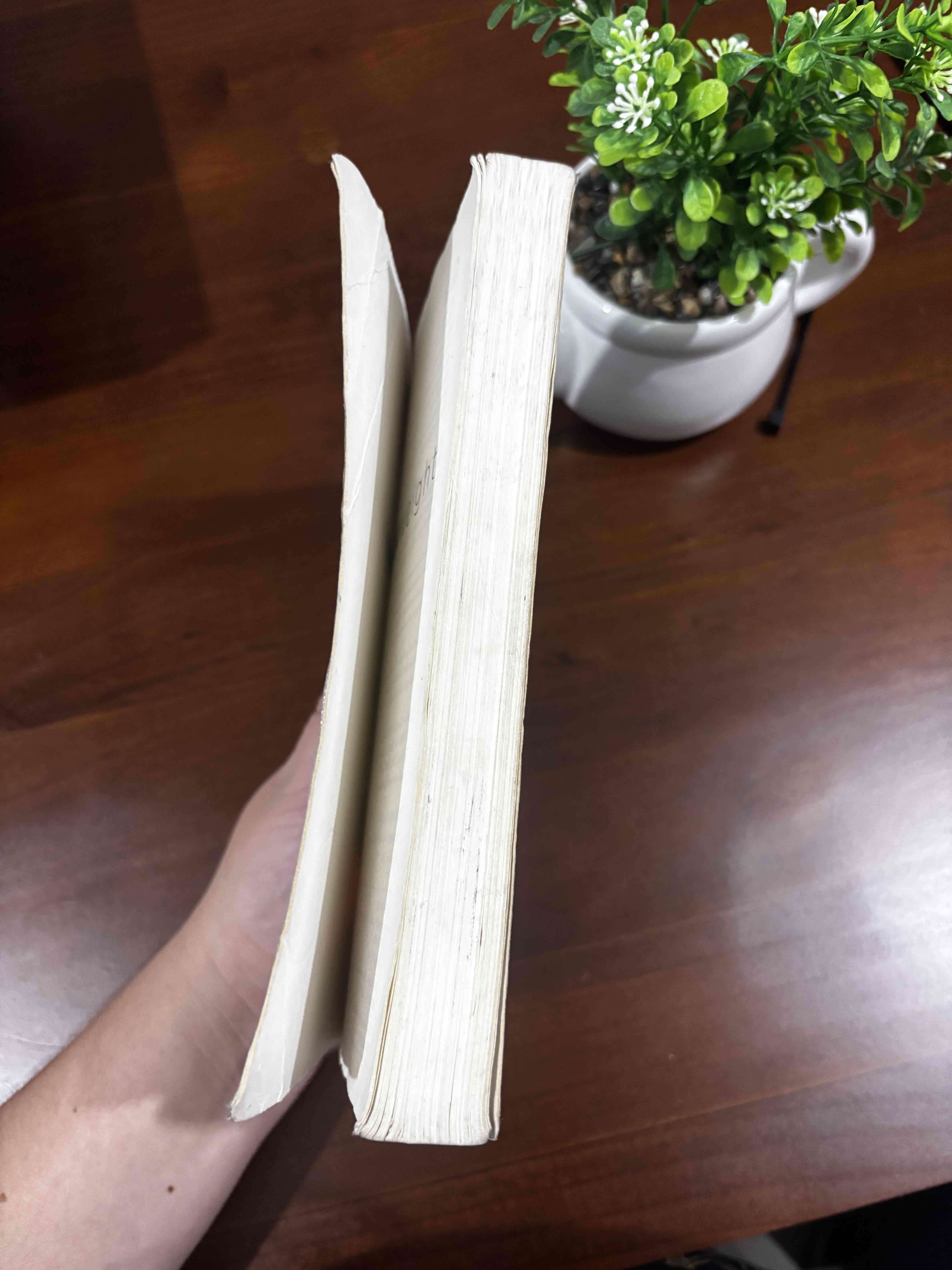 Libro 'Paperweight' por Meg Haston - miniatura 3