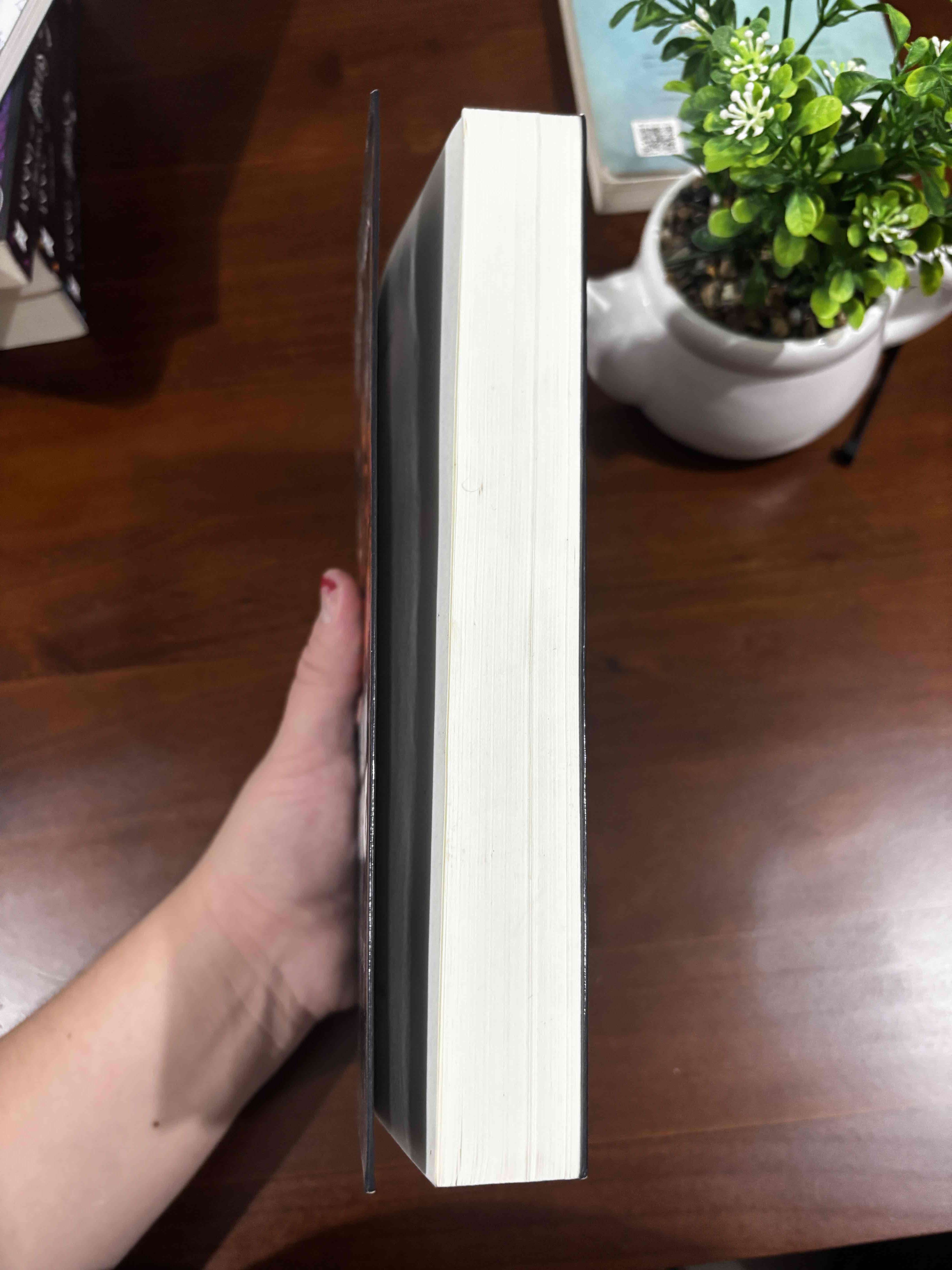 Libro 'A fuego lento' Paula Hawkins - miniatura 3