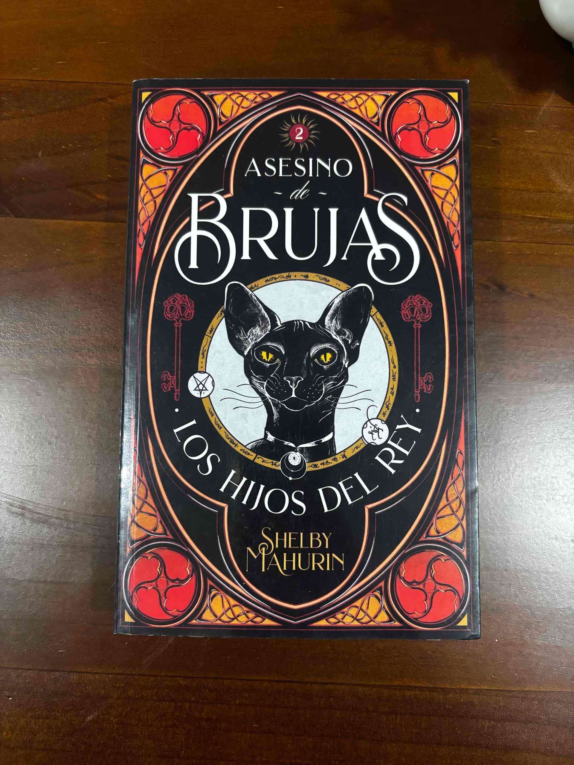 Saga Asesino de brujas - miniatura 3