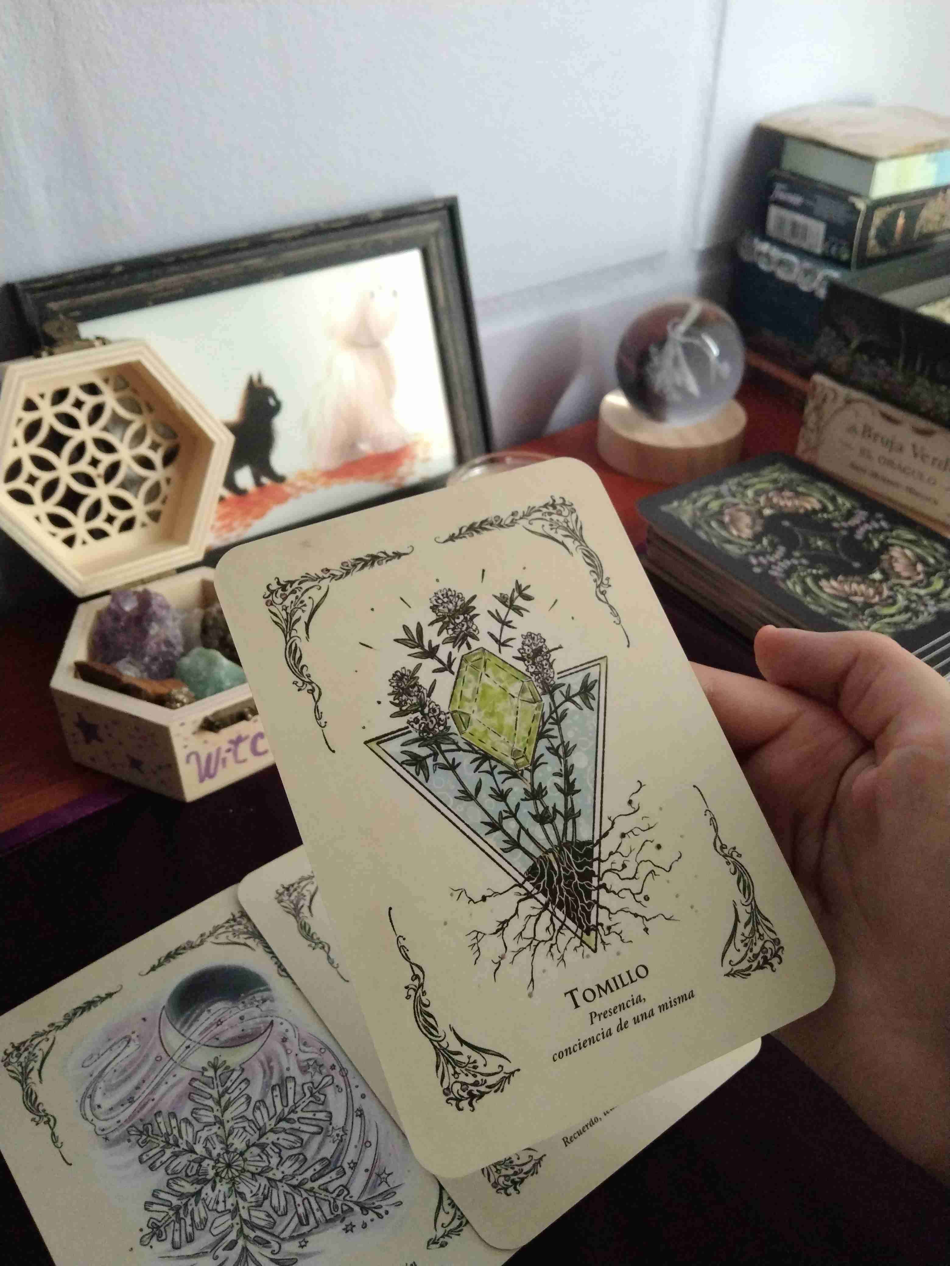 Servicio, Lectura de cartas, lecturas de oráculo - miniatura 5