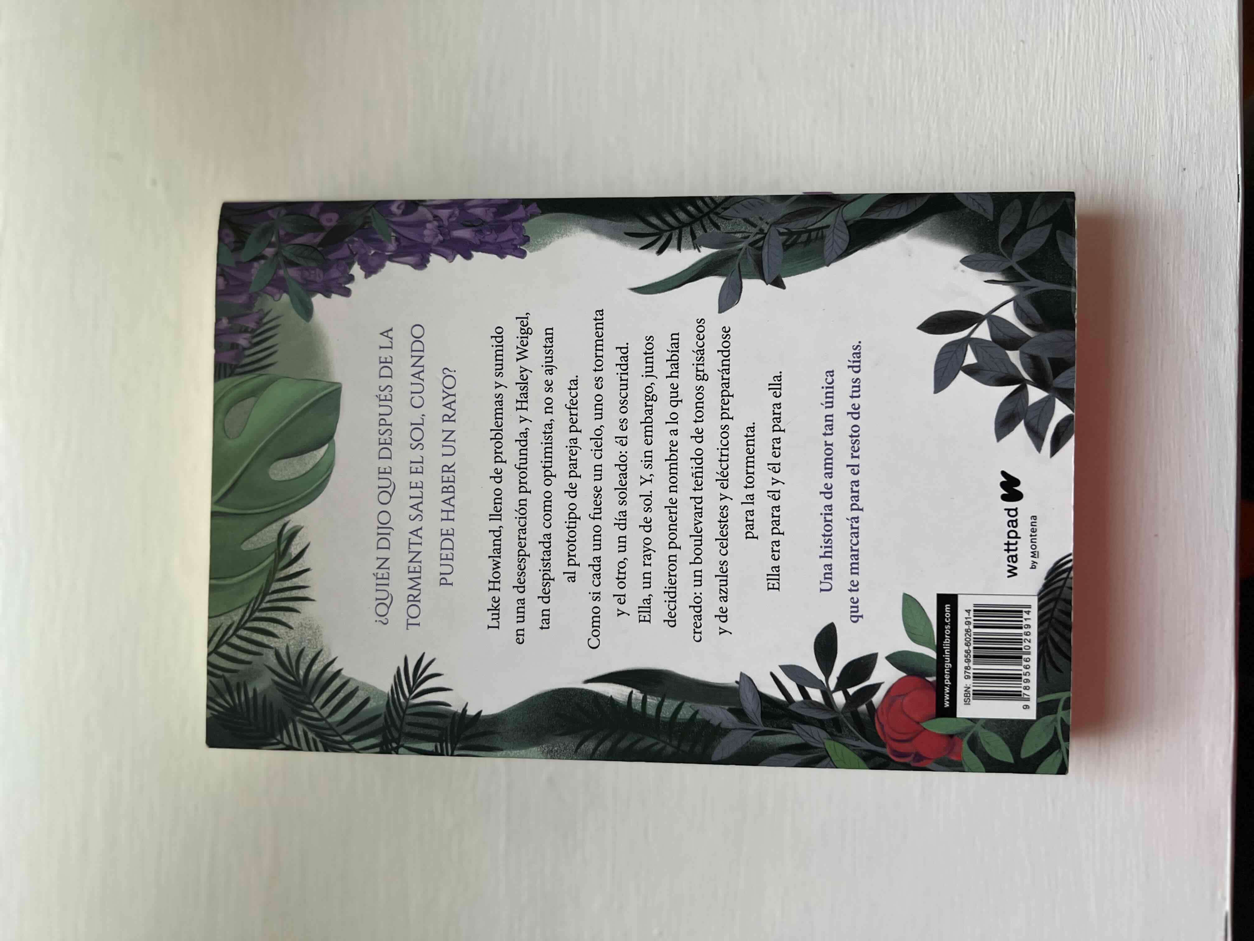 Libro Boulevard Flor M. Salvador - miniatura 3