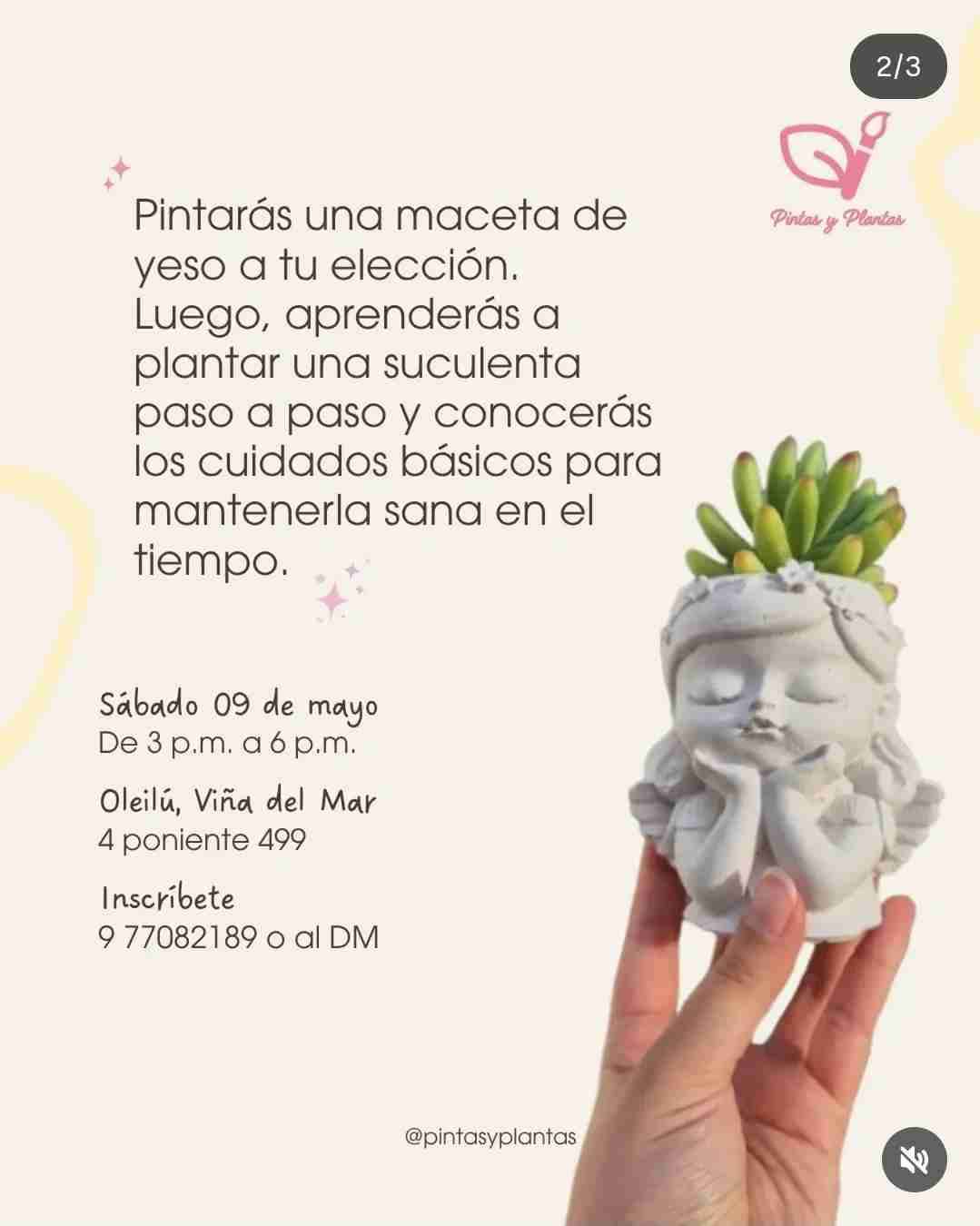 Taller pintas y plantas - miniatura 2