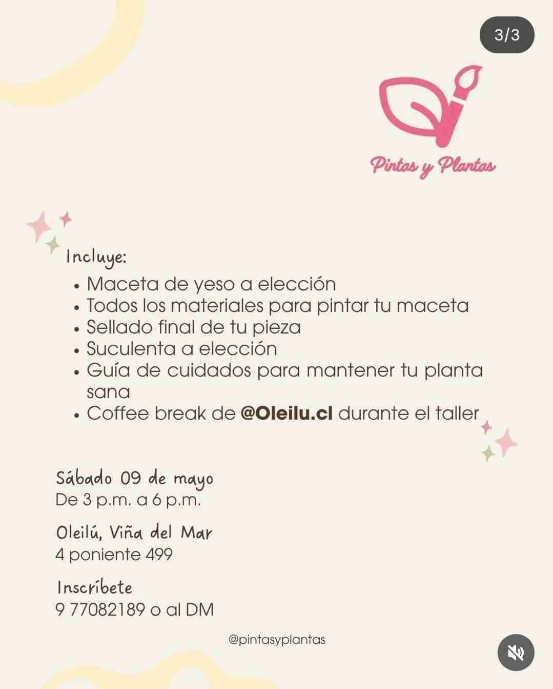 Taller pintas y plantas - miniatura 3