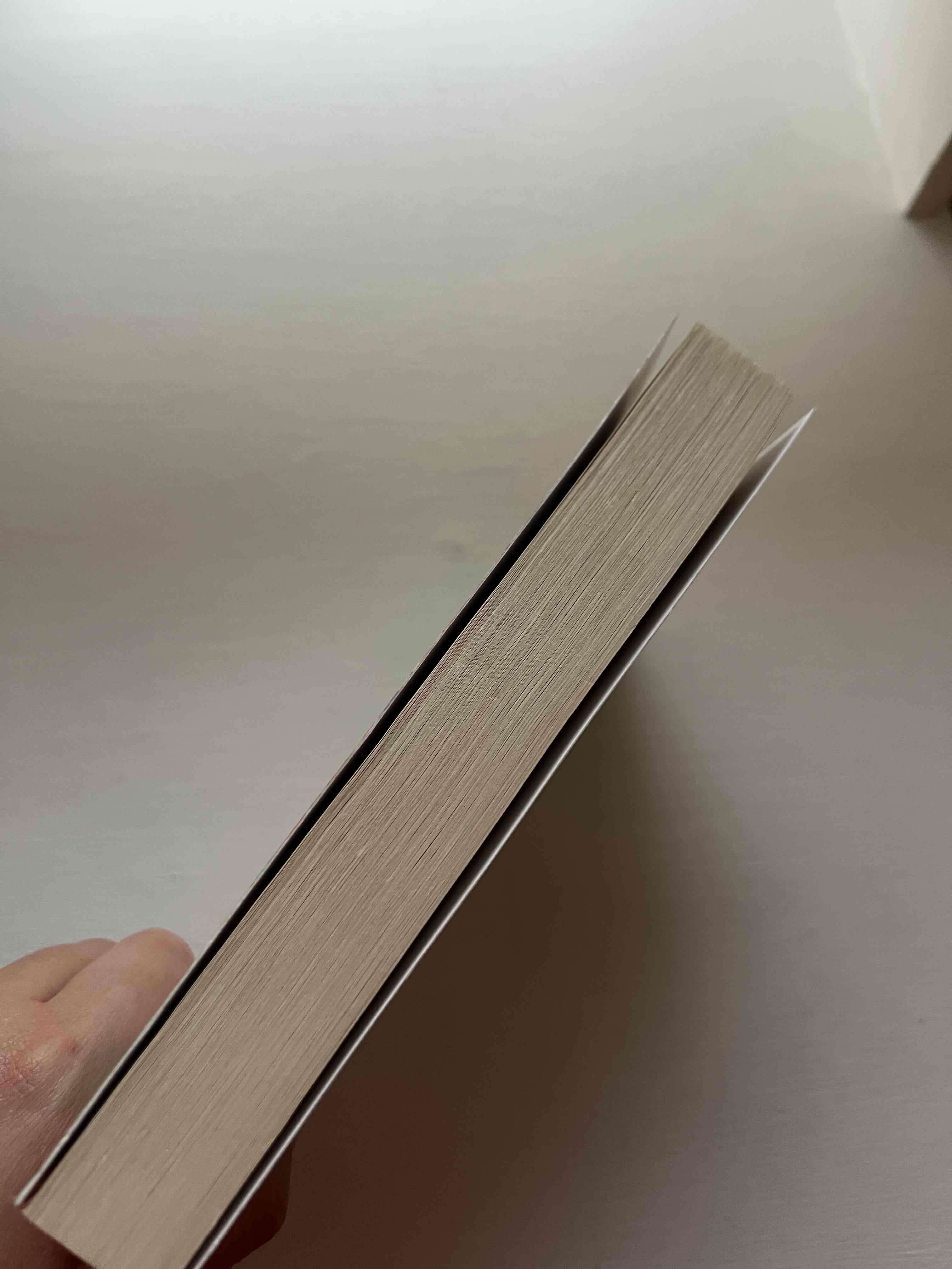 Libro 'Todo lo que nunca fuimos' - miniatura 2