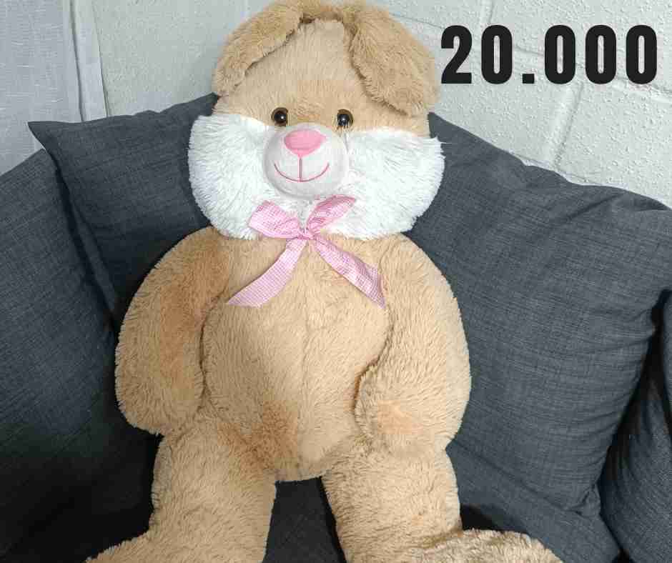 Peluchito conejo grande