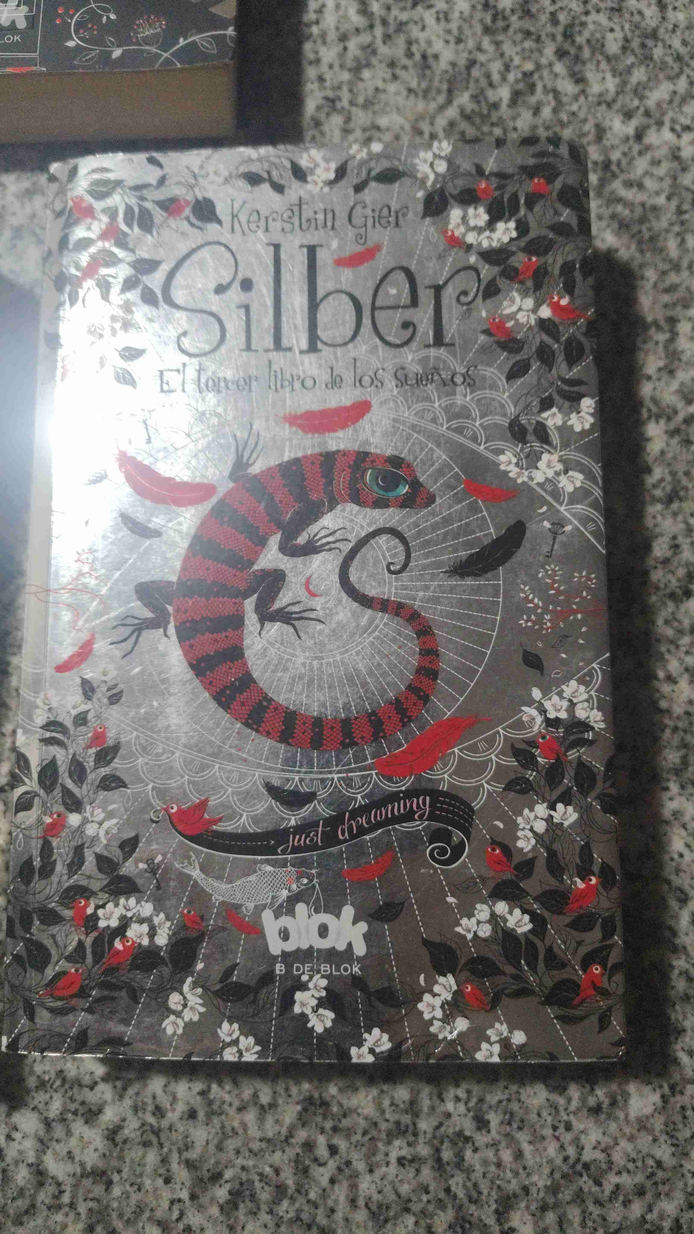 Trilogía Silber de Kerstin Gier - miniatura 4