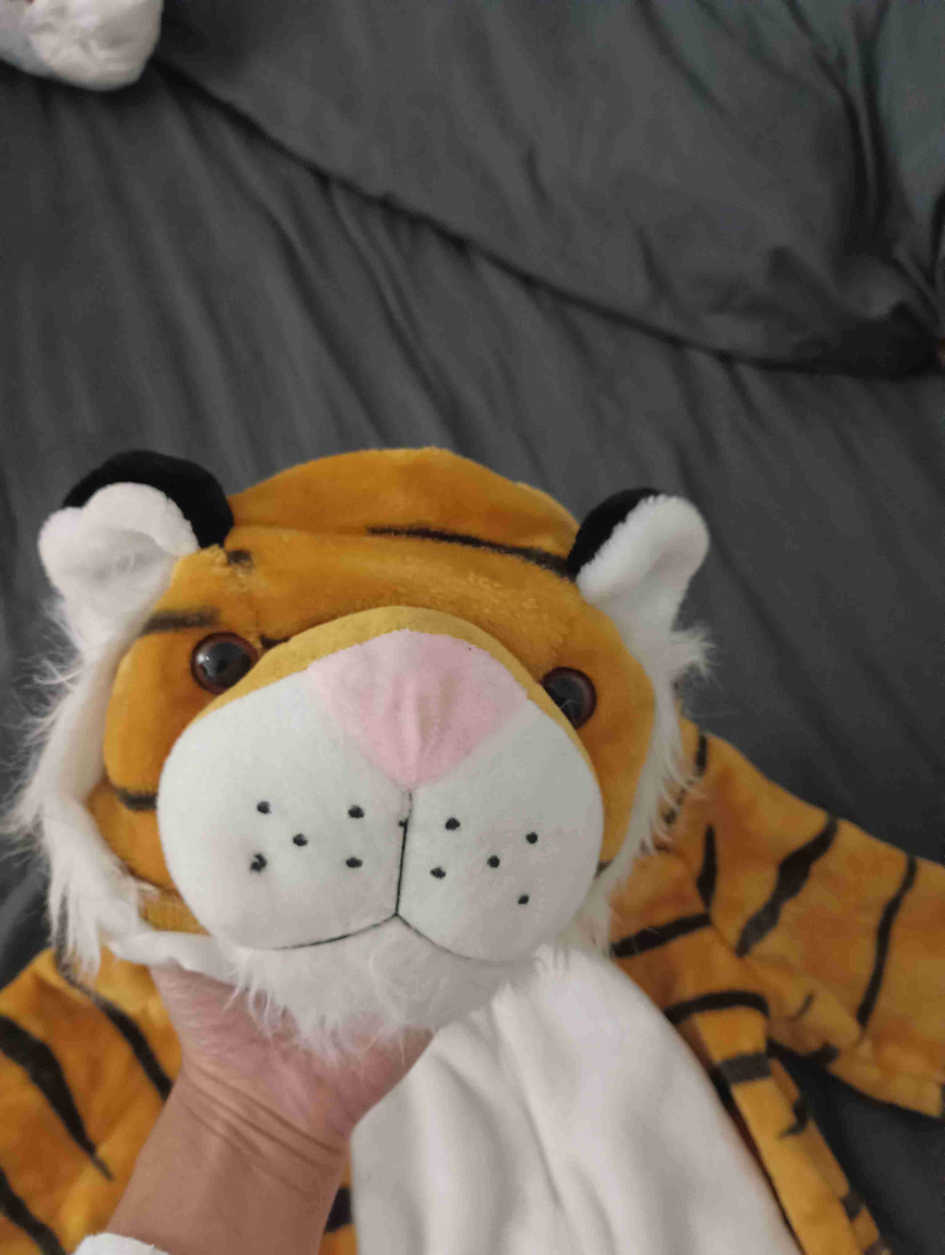 Disfraz infantil de tigre - miniatura 2