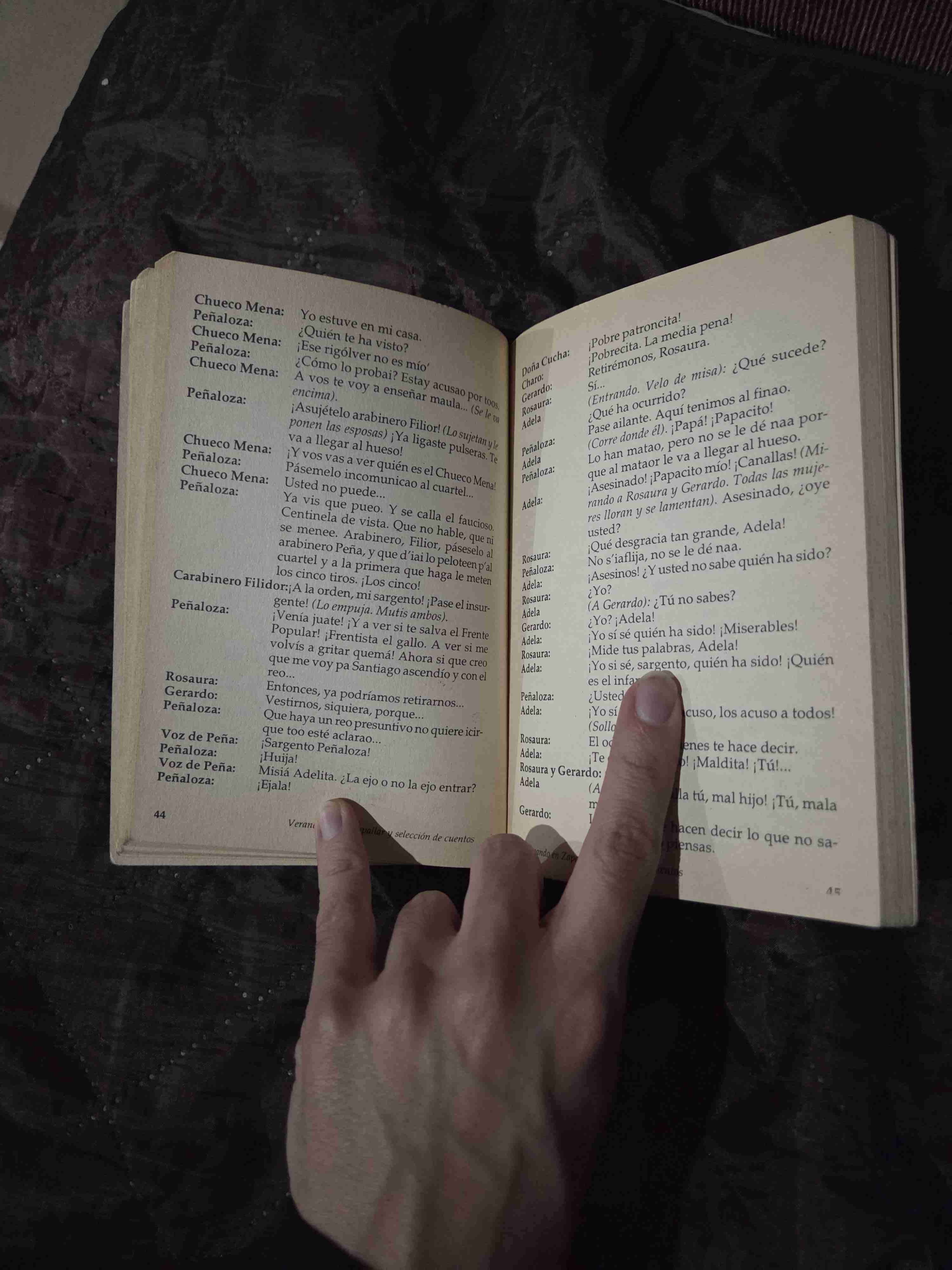 Libro Veraneando en Zapallar - miniatura 4