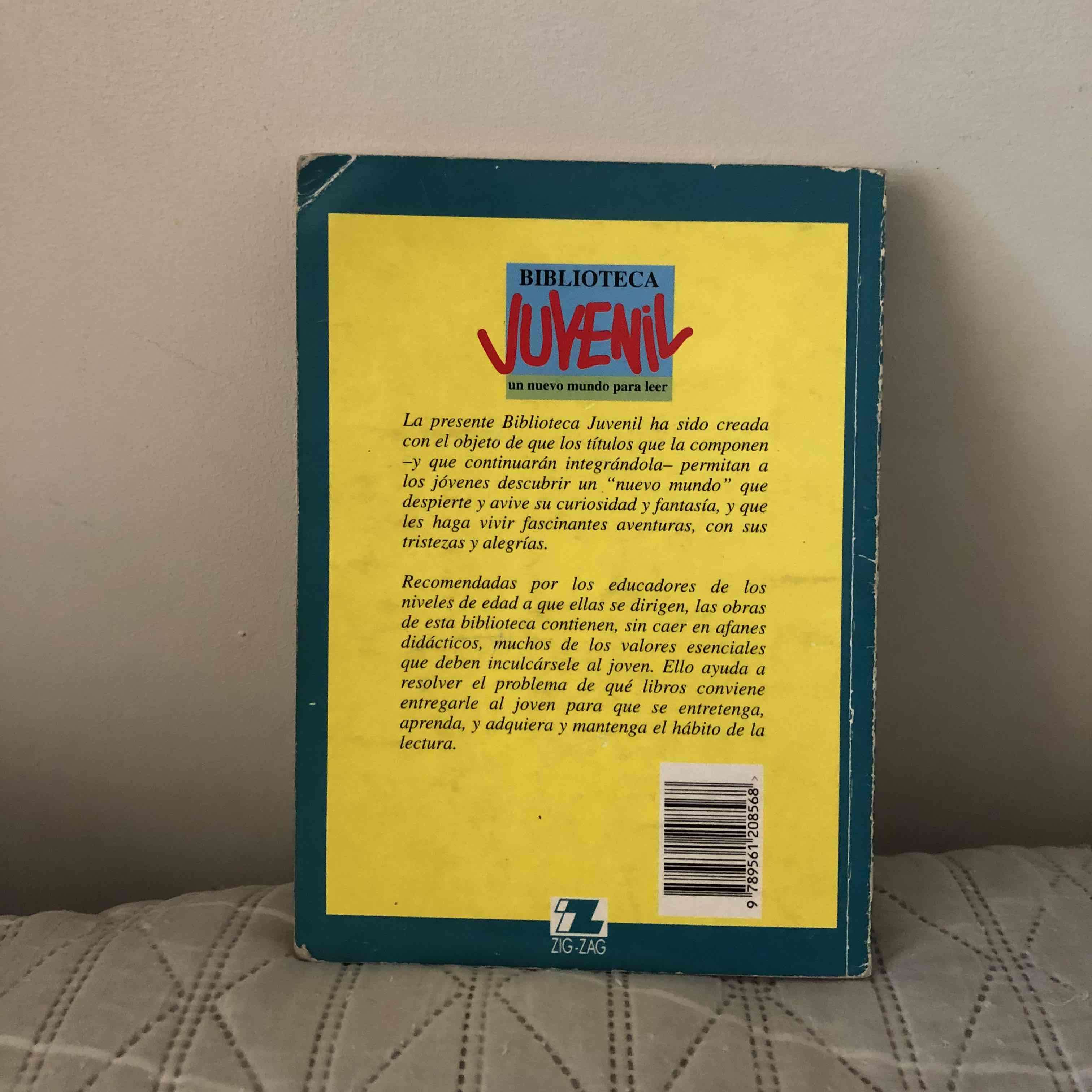 Libro 'Cuando el viento desapareció' - miniatura 2