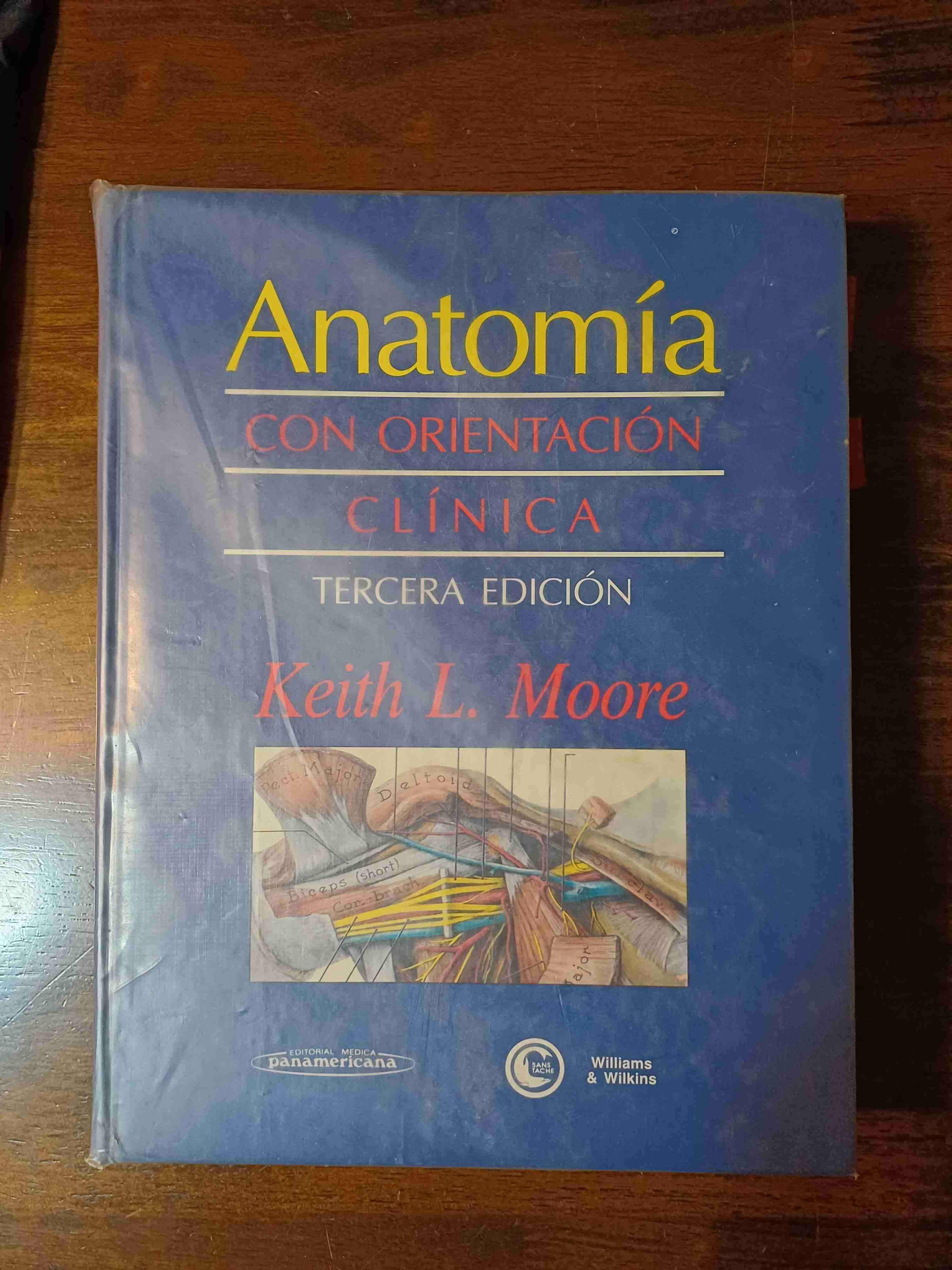 Libro Anatomía Clínica Tercera Edición - miniatura 1