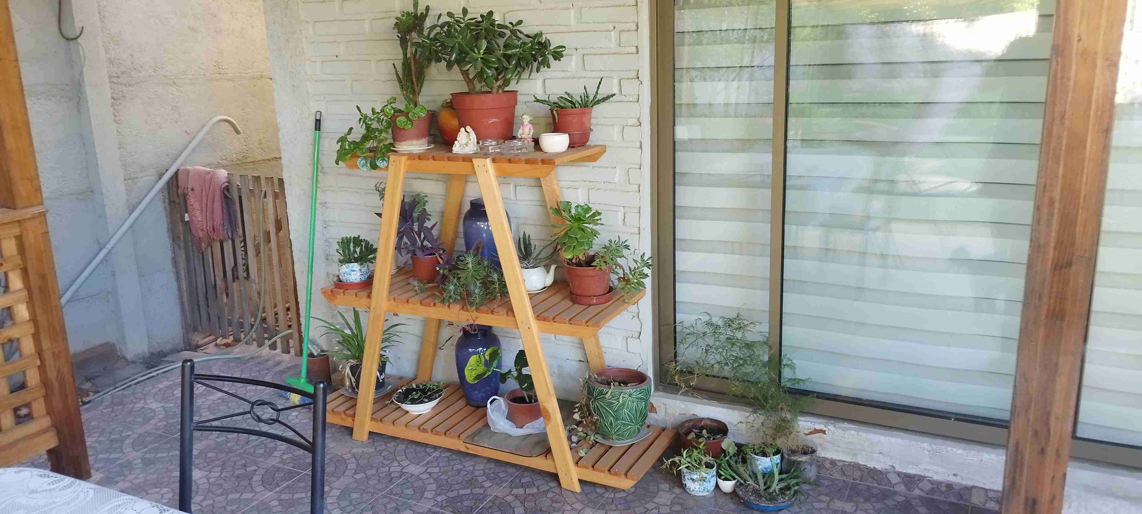 repisas de madera plantas y frutas - miniatura 1
