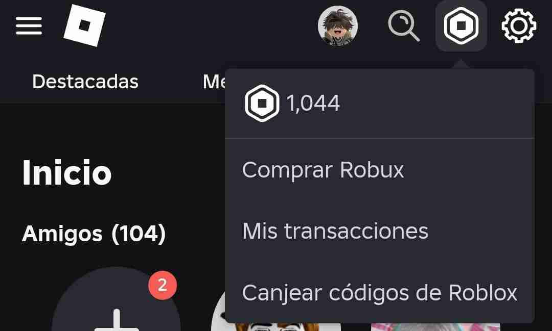 1000 Robux