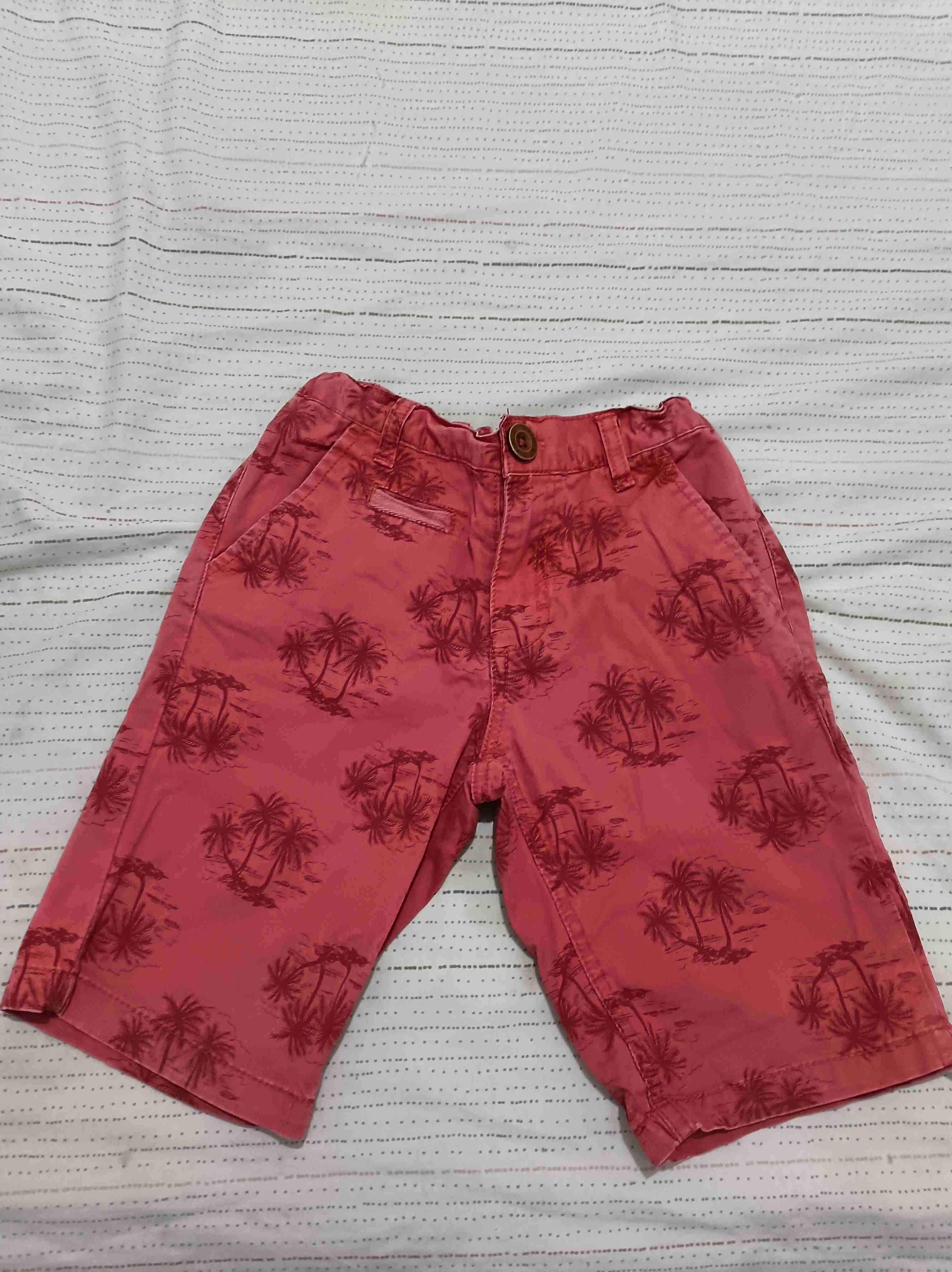 Conjunto polera y short niño dinosaurio - miniatura 3
