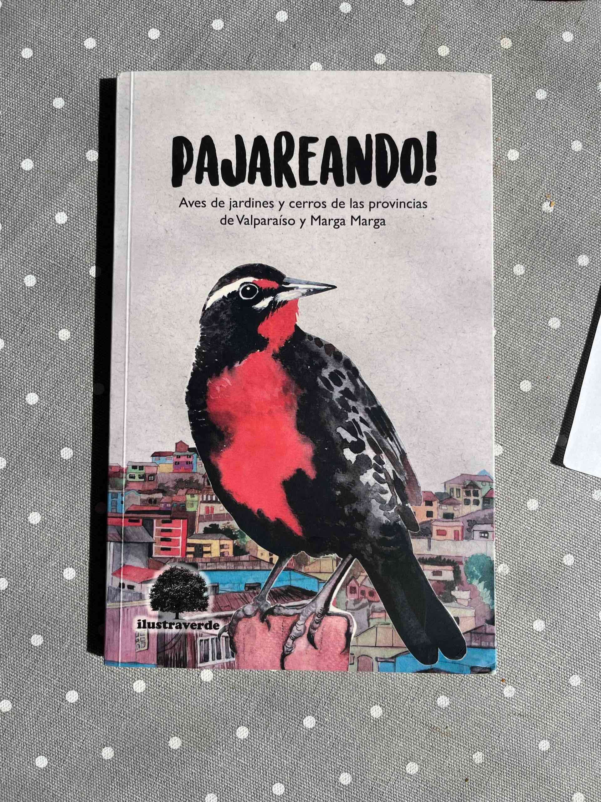 Libro Pajareando aves de Chile