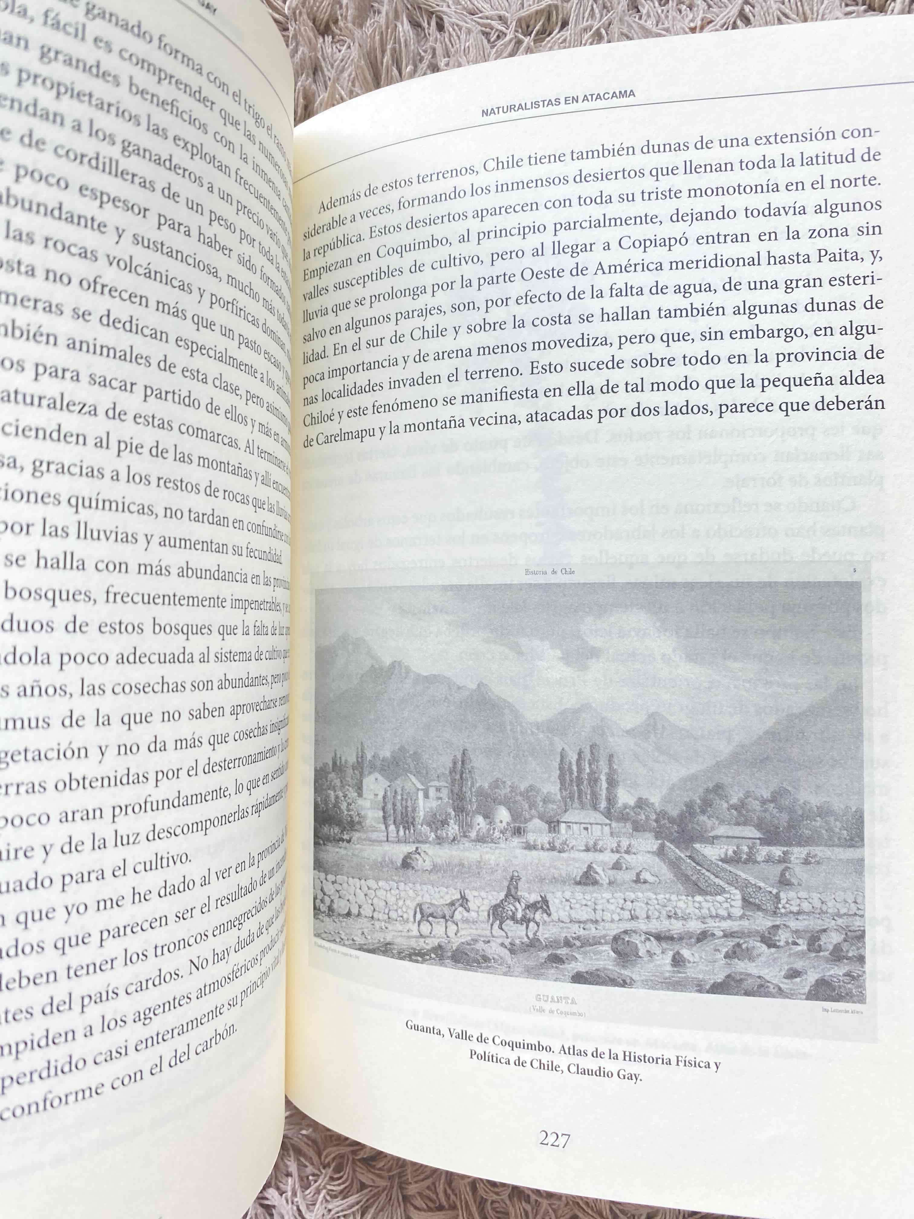 Libro Naturalistas en Atacama - miniatura 5