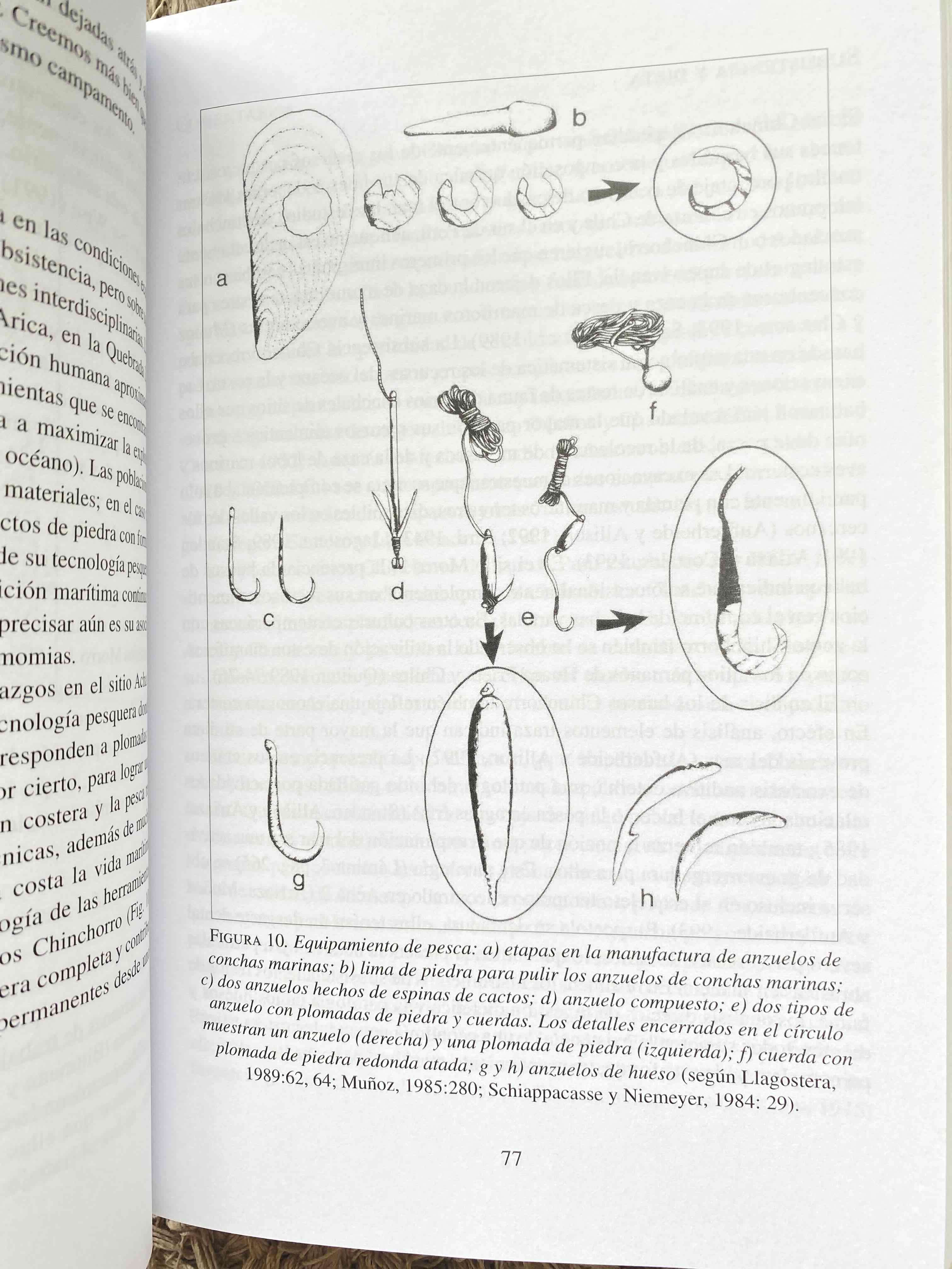 Libro Cultura Chinchorro - miniatura 5
