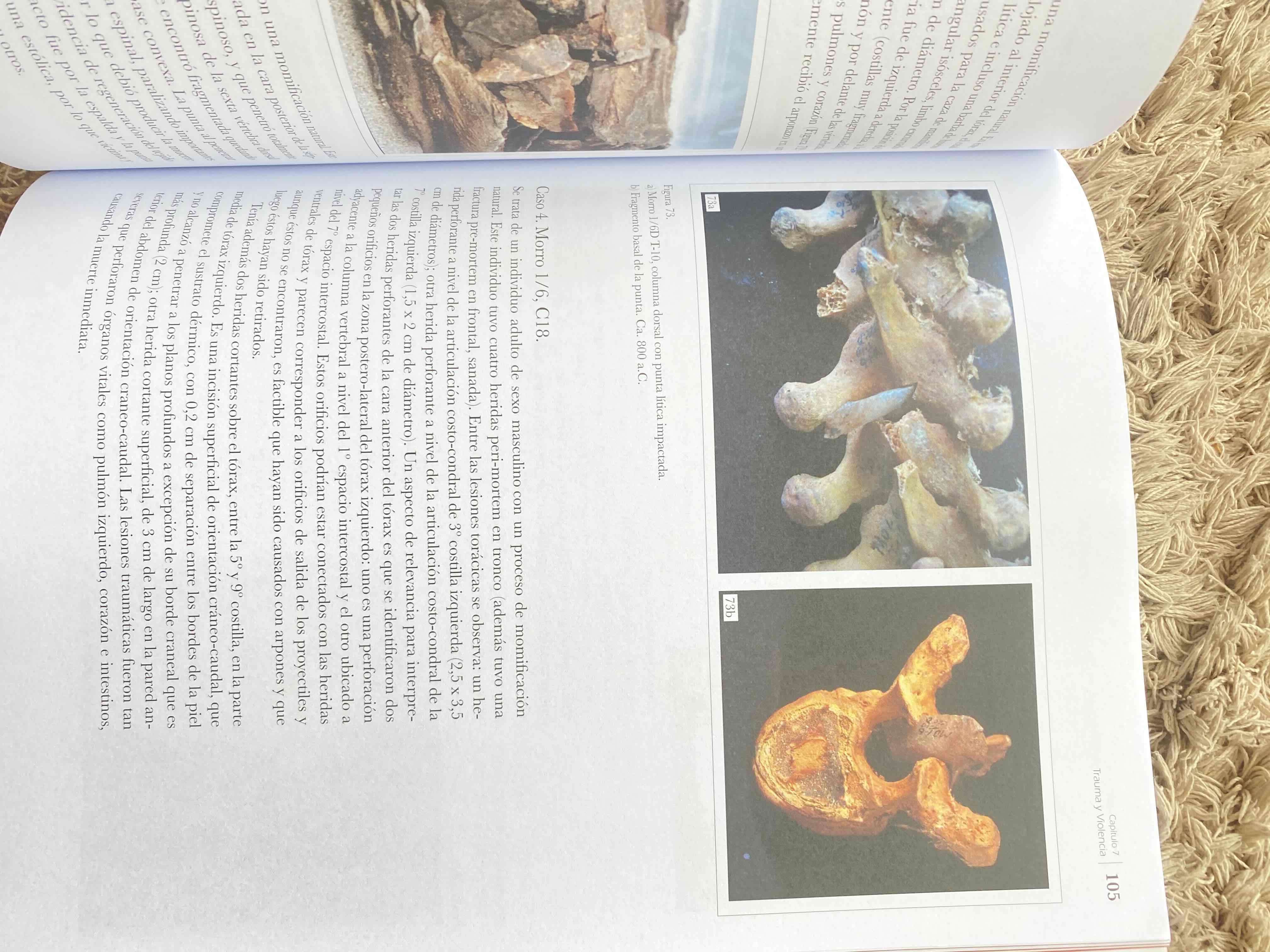 Libro Bioarqueología historia biocultural - miniatura 2