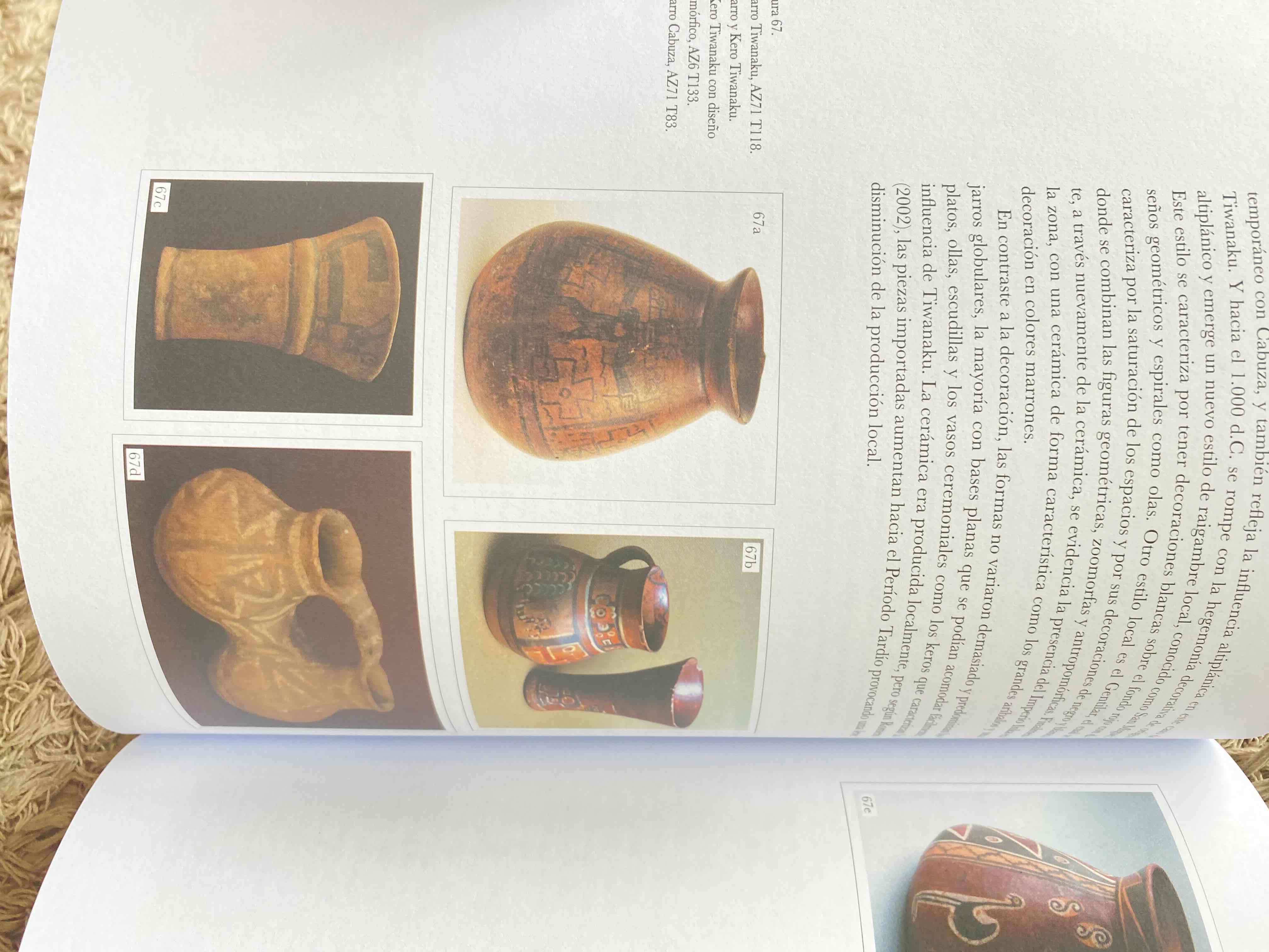 Libro Bioarqueología historia biocultural - miniatura 3