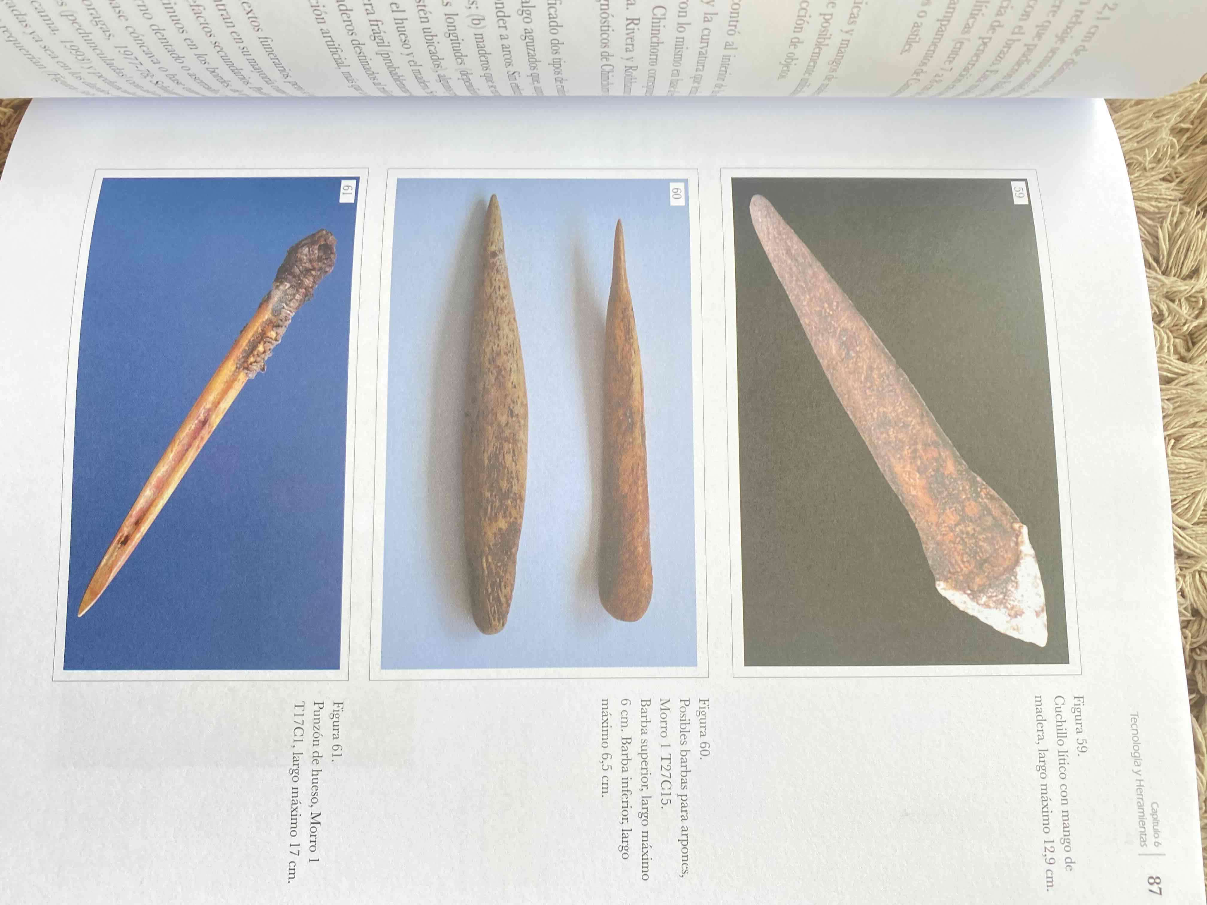 Libro Bioarqueología historia biocultural - miniatura 4