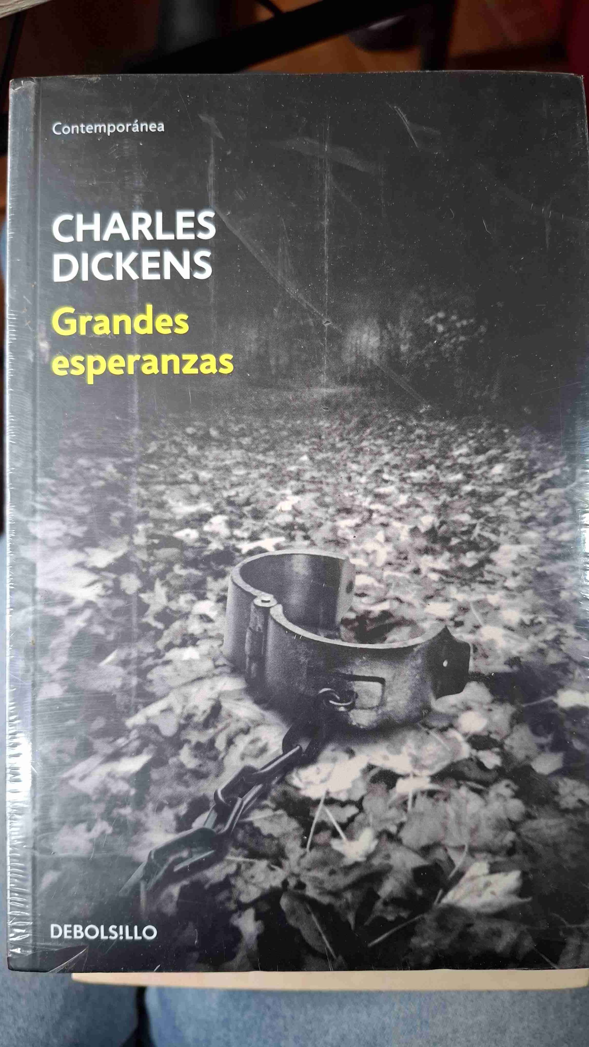 Grandes esperanzas libro tapa blanda - miniatura 1