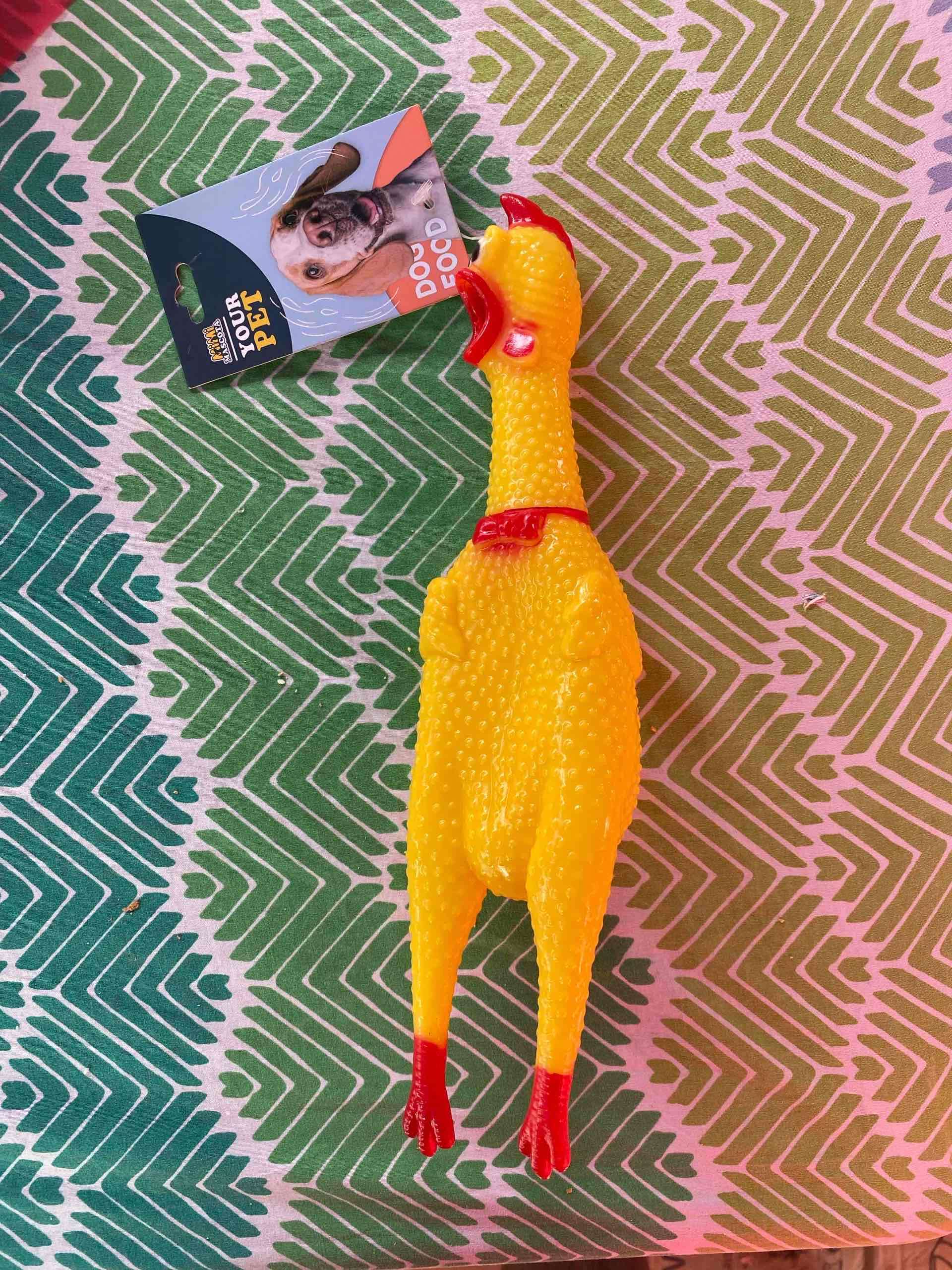Juguete de goma para mascota