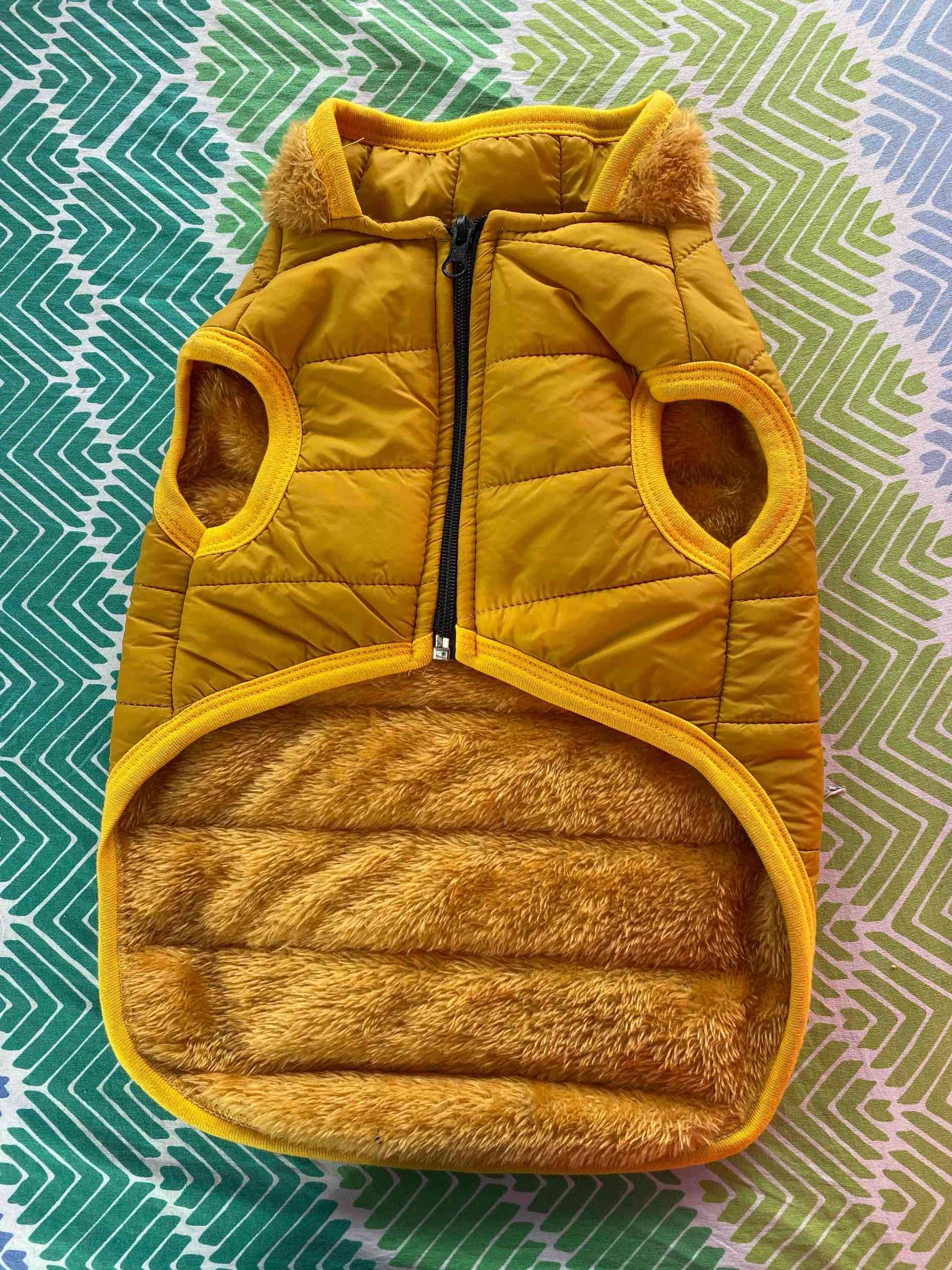 Chaleco amarillo para perro - miniatura 2