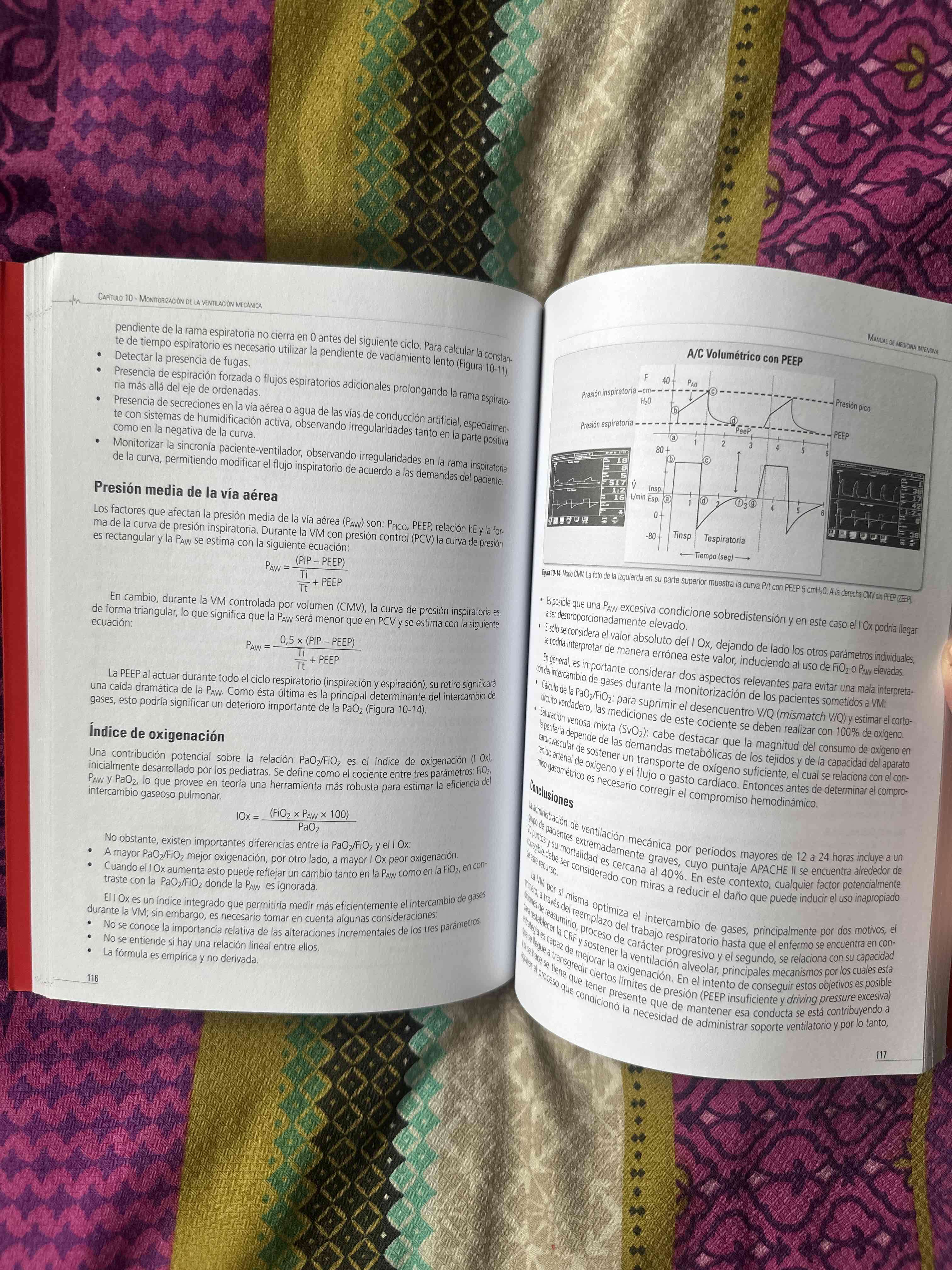 Manual de Medicina Intensiva - miniatura 3