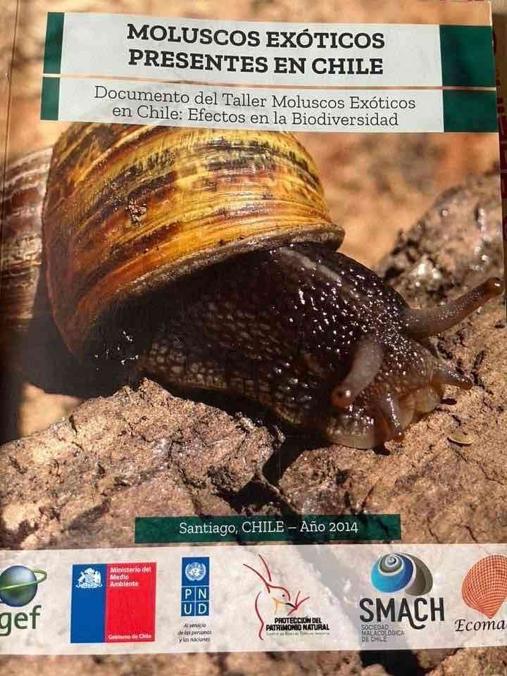 Libro La Ballena Jorobada - miniatura 4