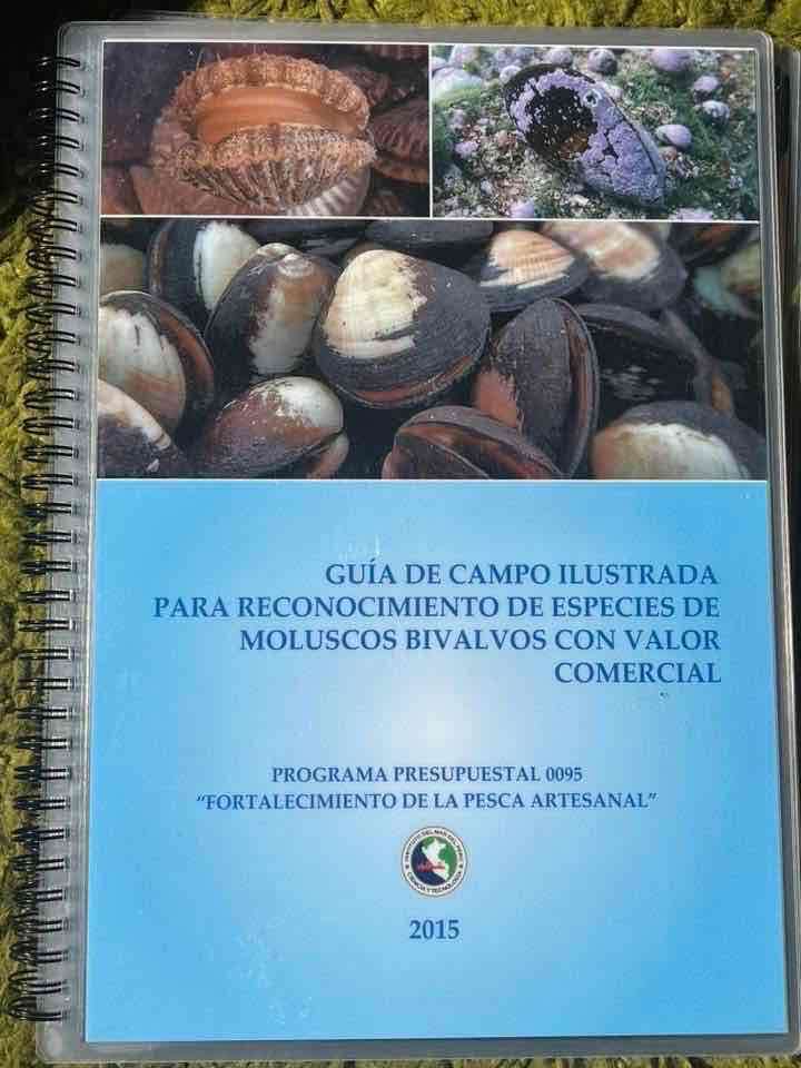 Libro La Ballena Jorobada - miniatura 6