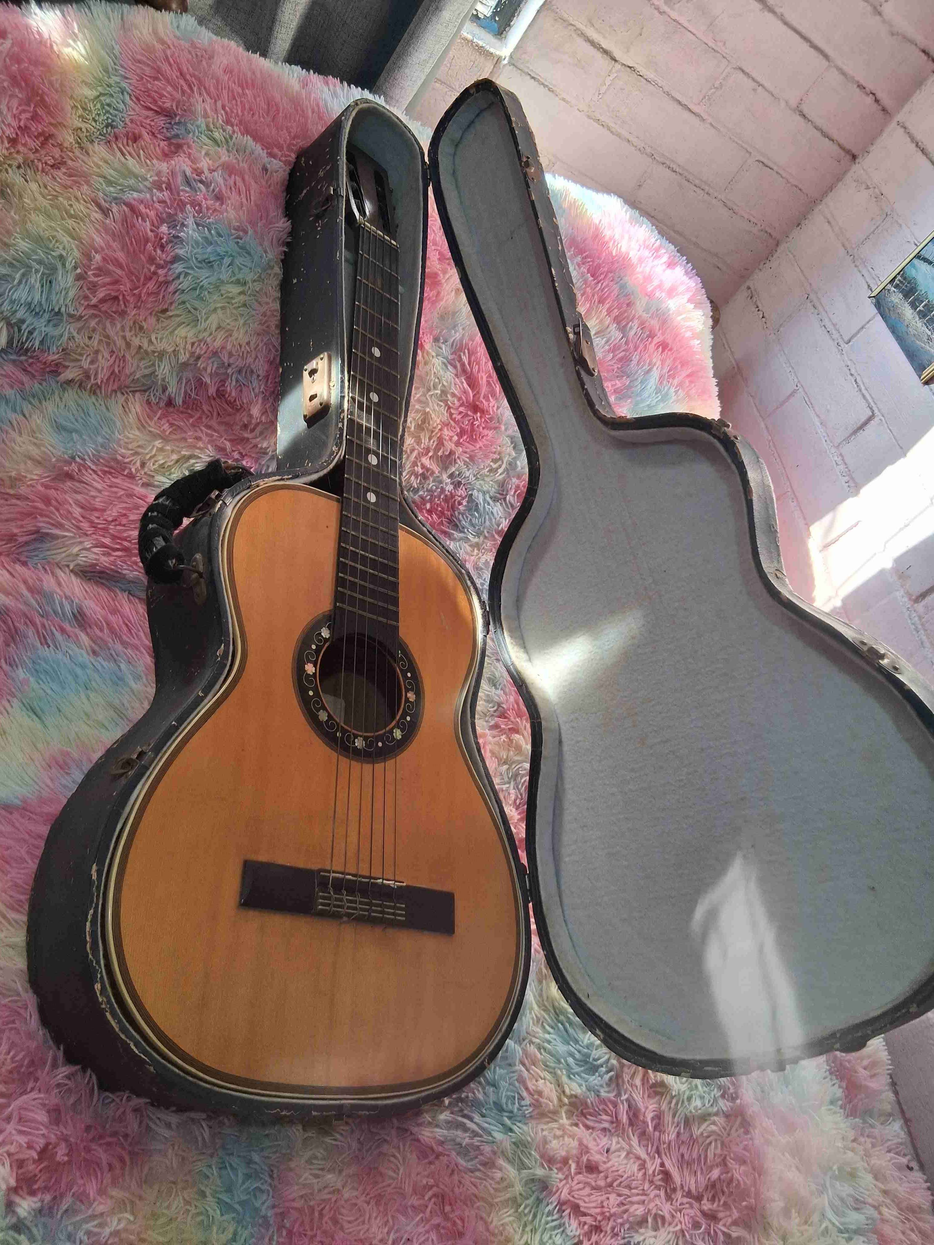 Guitarra acústica con estuche