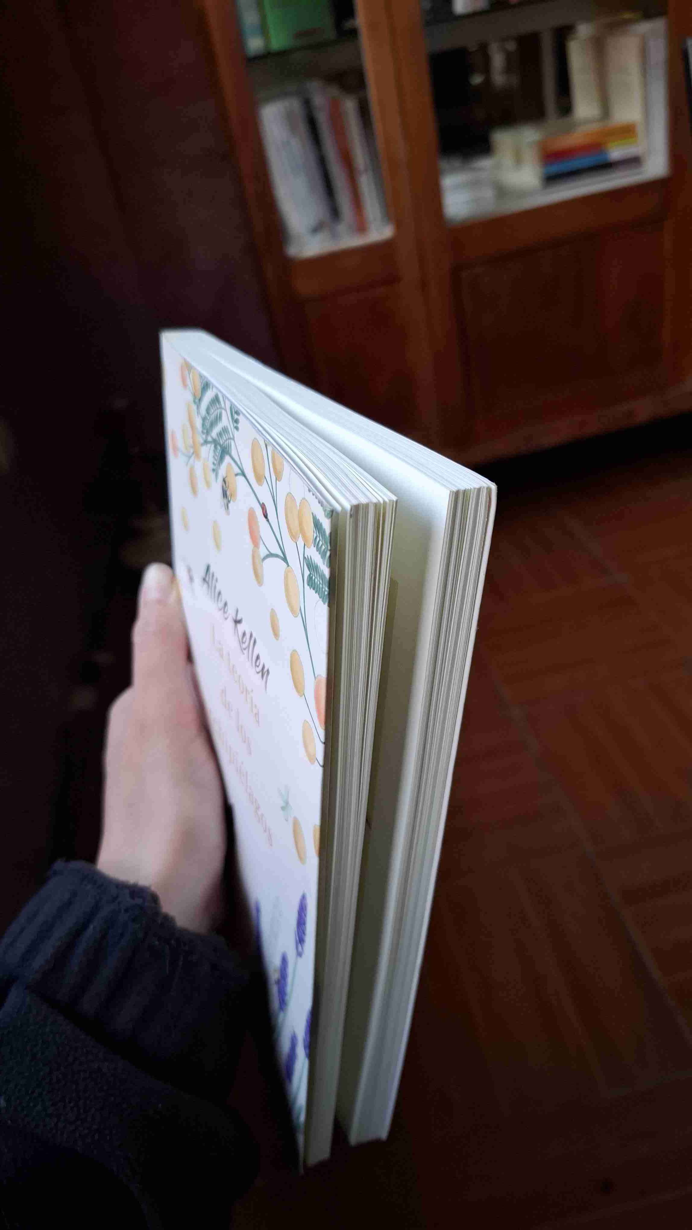 Libro 'La teoría de los archipiélagos' - miniatura 3
