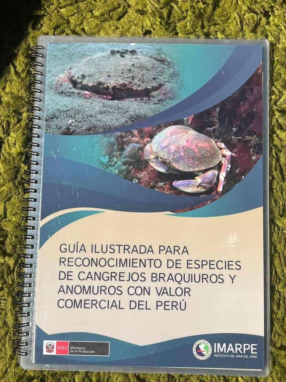 Guía sobre cangrejos comerciales